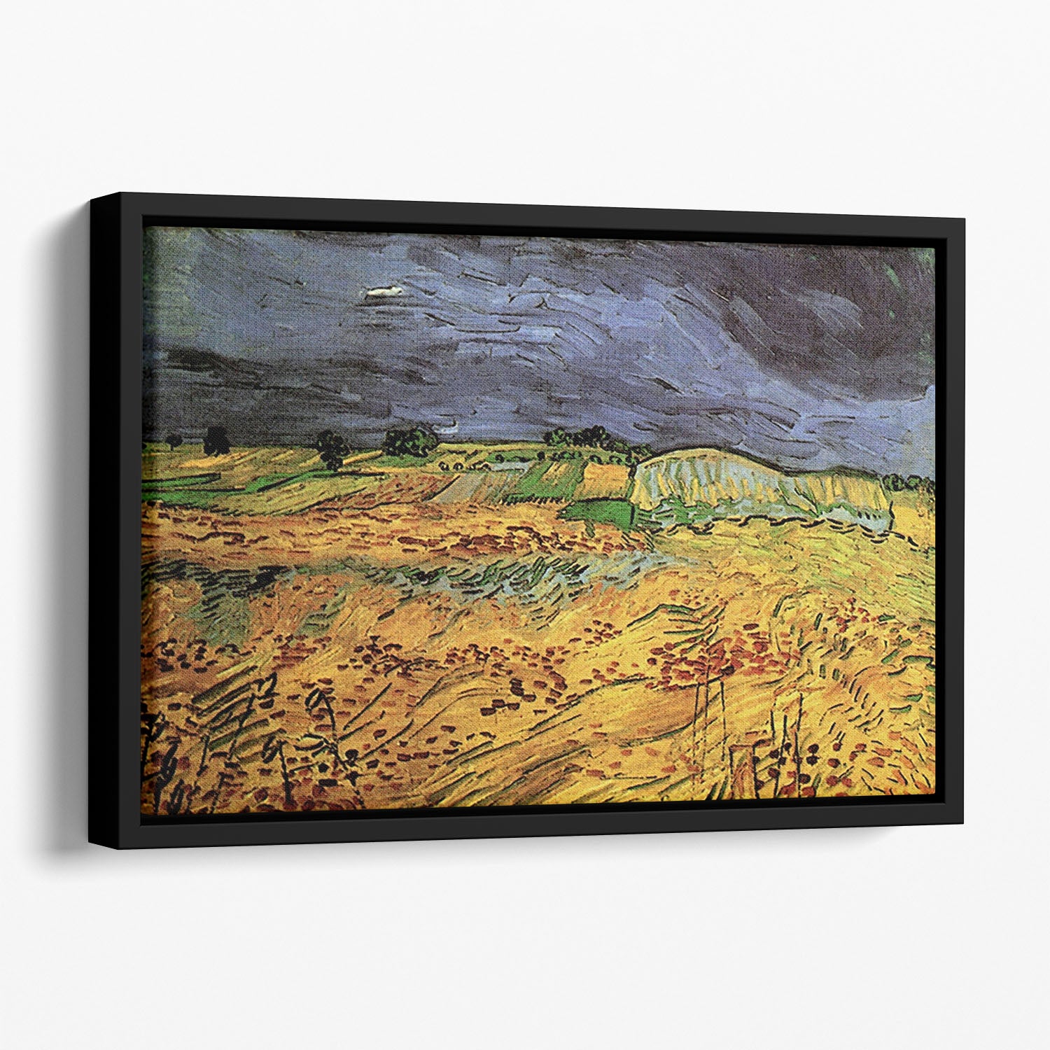 The Fields by Van Gogh Floating Framed Canvas