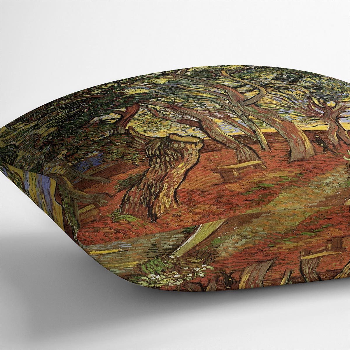 The Garden of Saint-Paul Hospital 4 by Van Gogh Cushion