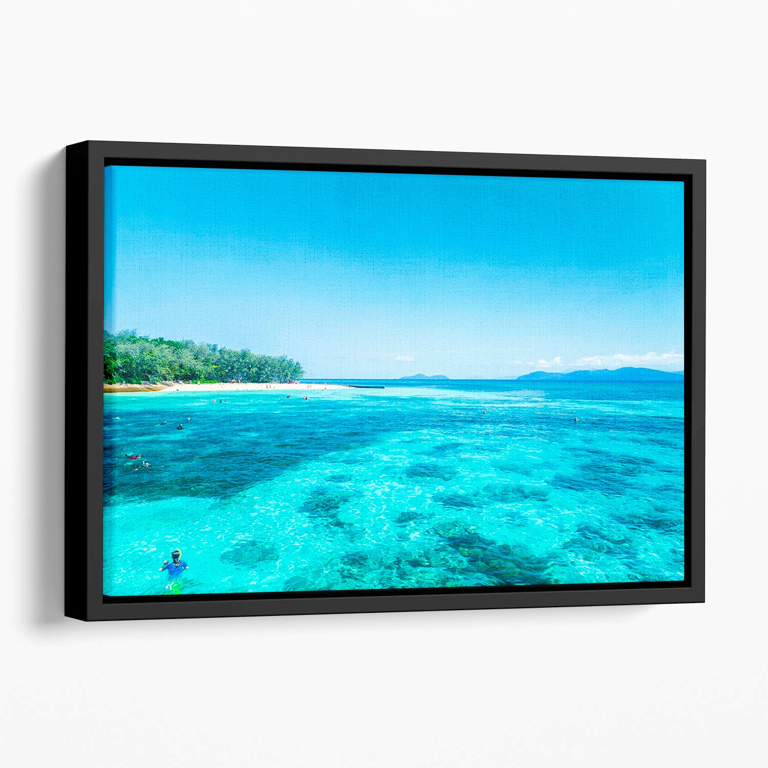 The Great Barrier Reef Floating Framed Canvas