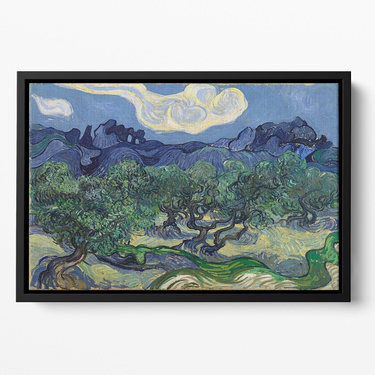 The Olive trees Floating Framed Canvas