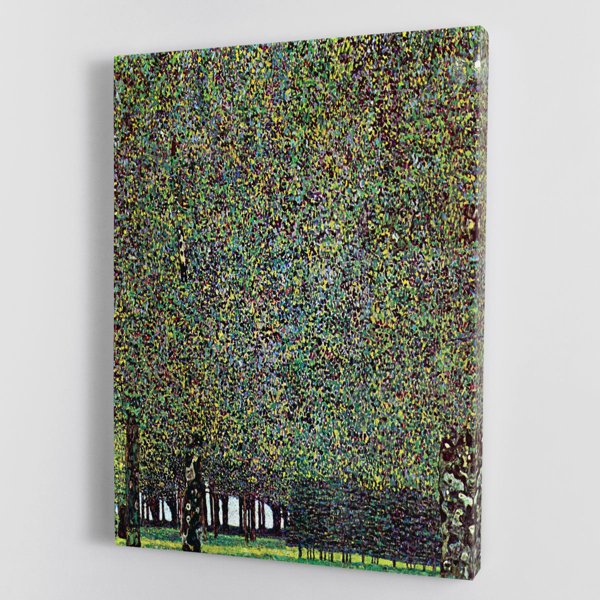 The Park by Klimt Canvas Print or Poster - Canvas Art Rocks - 1