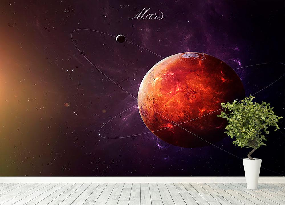The Red Planet Mars Wall Mural Wallpaper - Canvas Art Rocks - 4