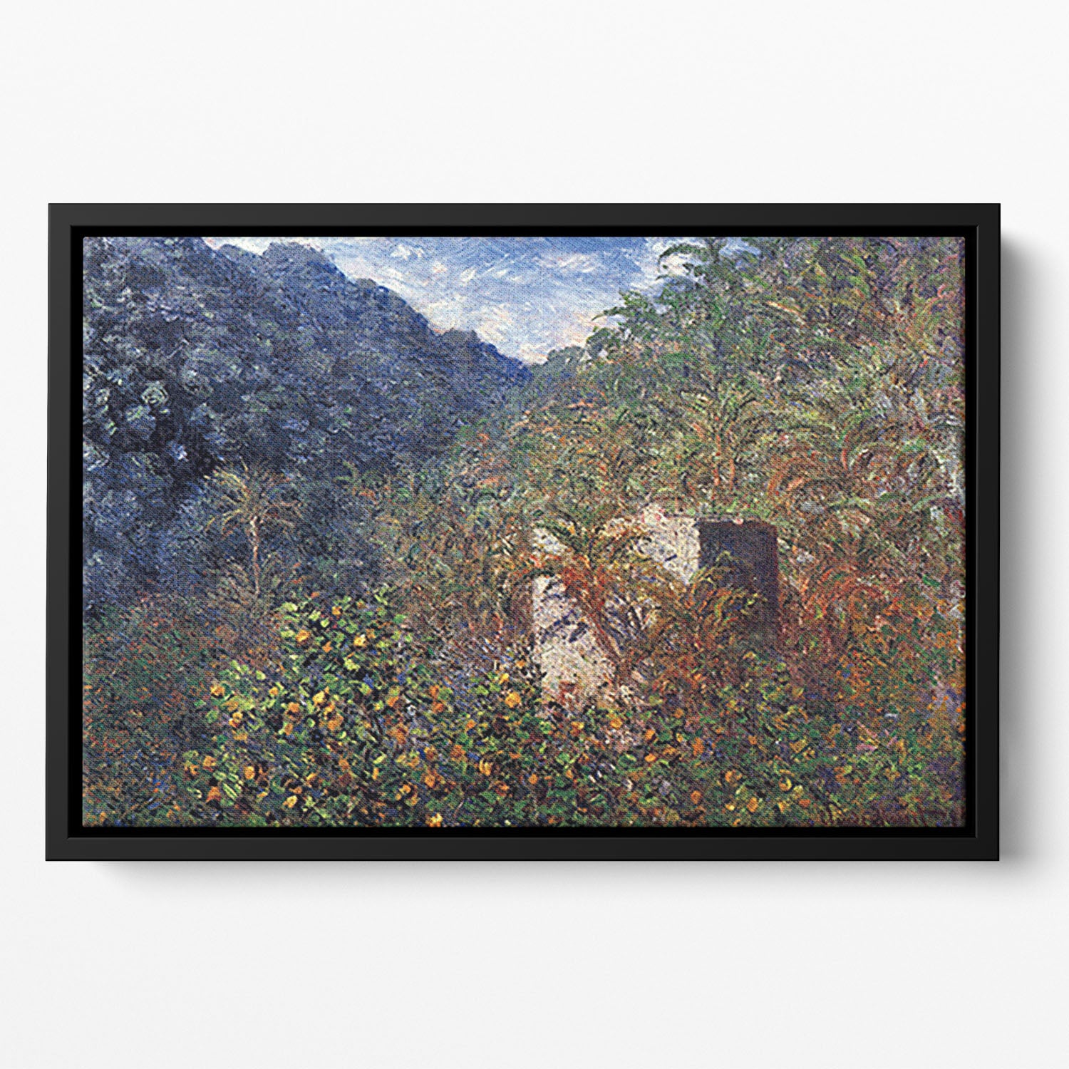 The Valley Sasso Bordighera by Monet Floating Framed Canvas