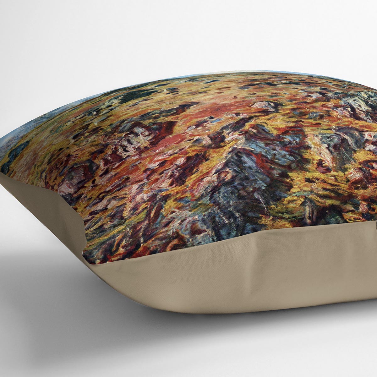 The boulder by Monet Cushion