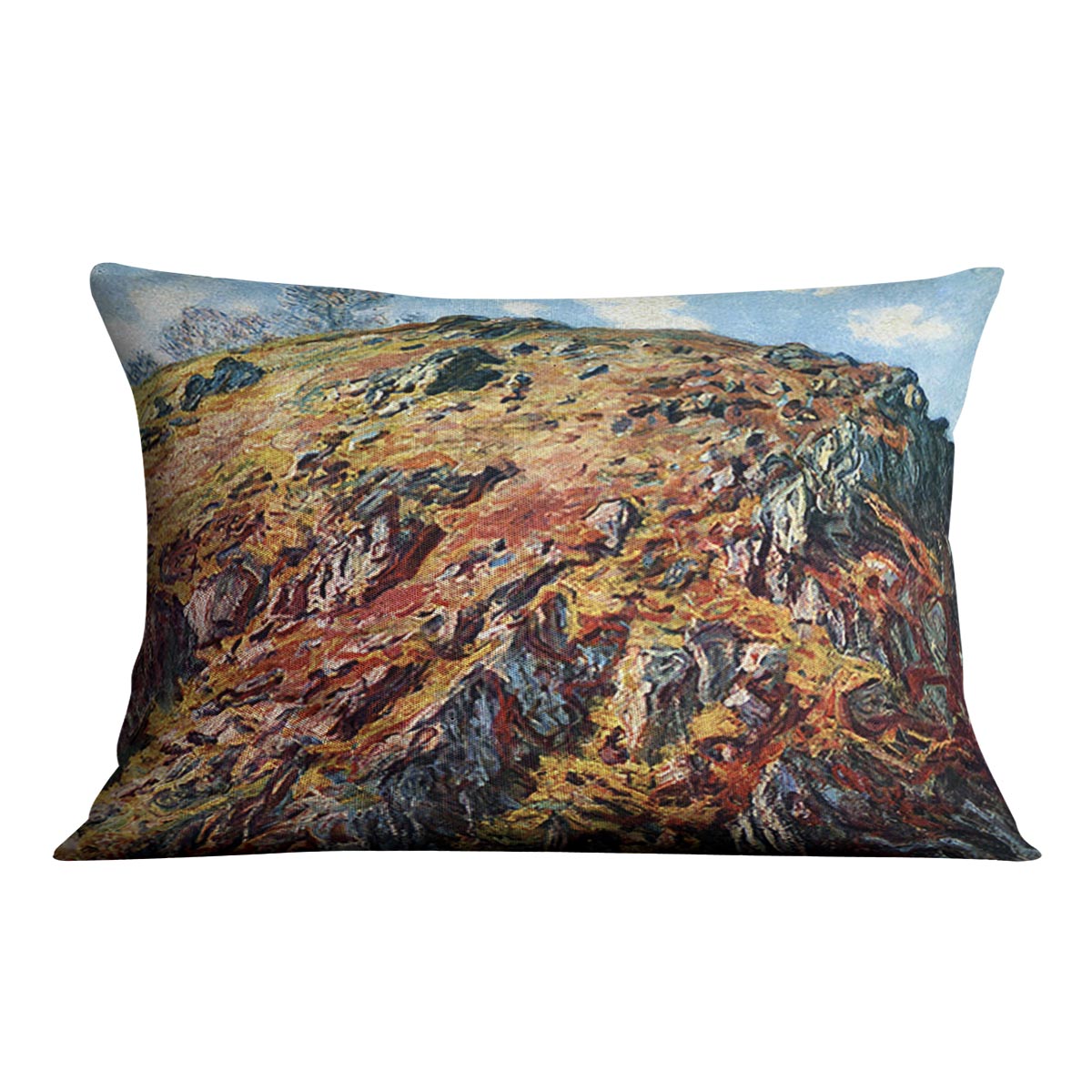 The boulder by Monet Cushion