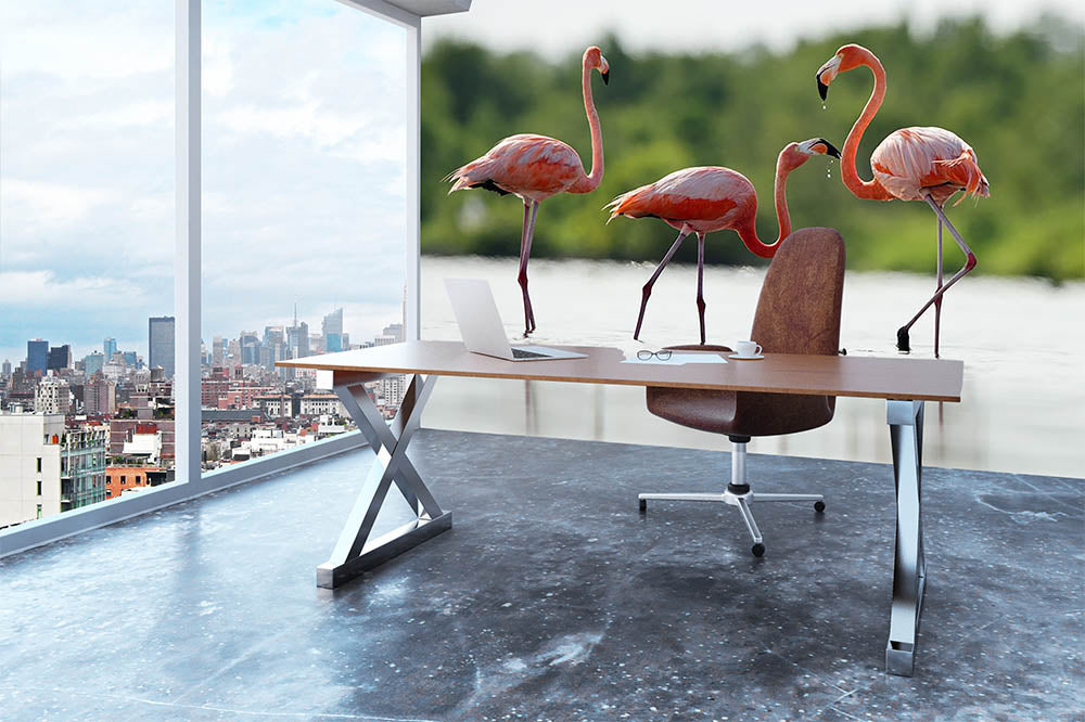 The pink Caribbean flamingo Wall Mural Wallpaper - Canvas Art Rocks - 3