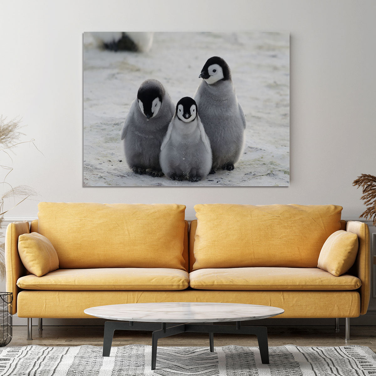 Three Emperor Penguin Chicks Together Canvas Print or Poster - Canvas Art Rocks - 4