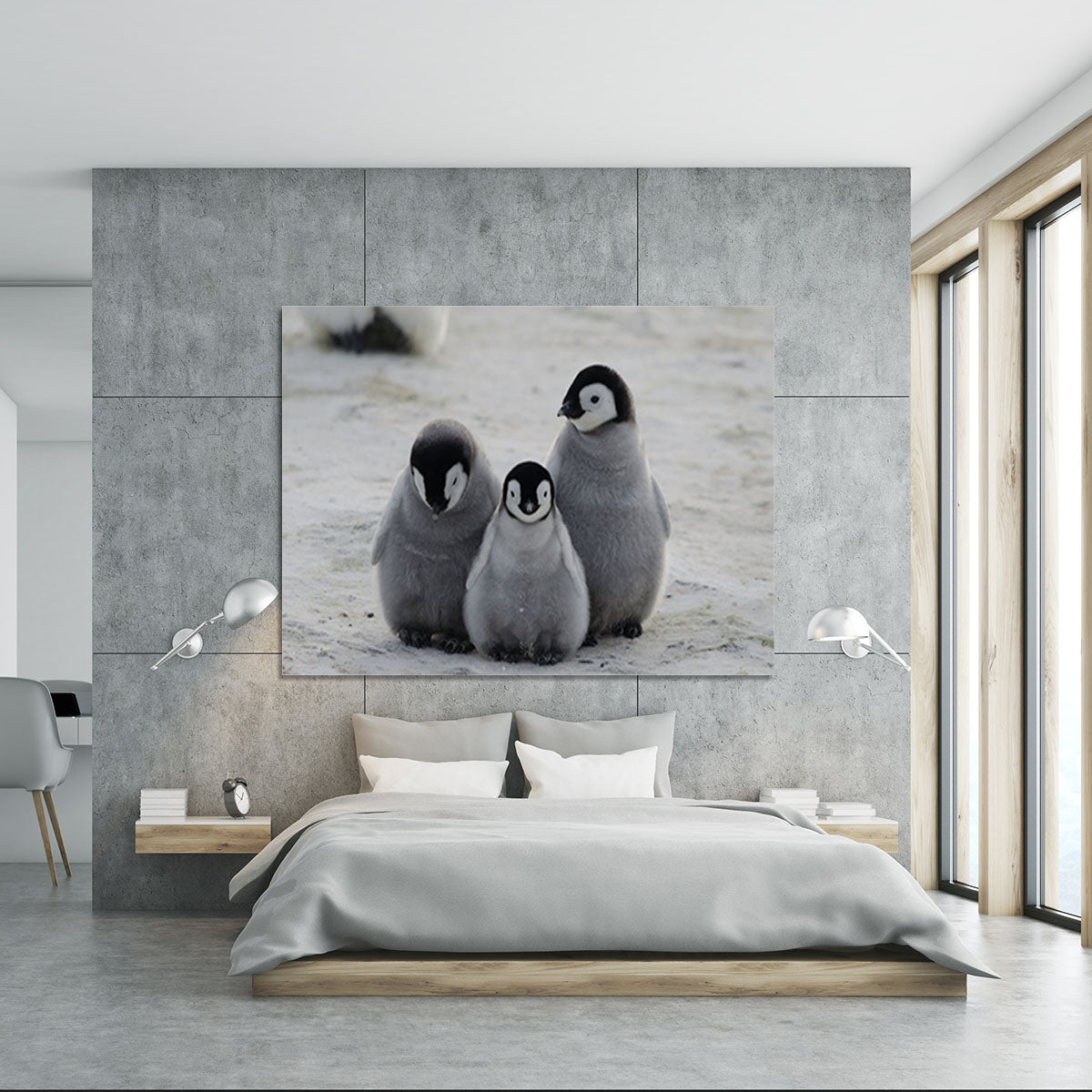 Three Emperor Penguin Chicks Together Canvas Print or Poster - Canvas Art Rocks - 5
