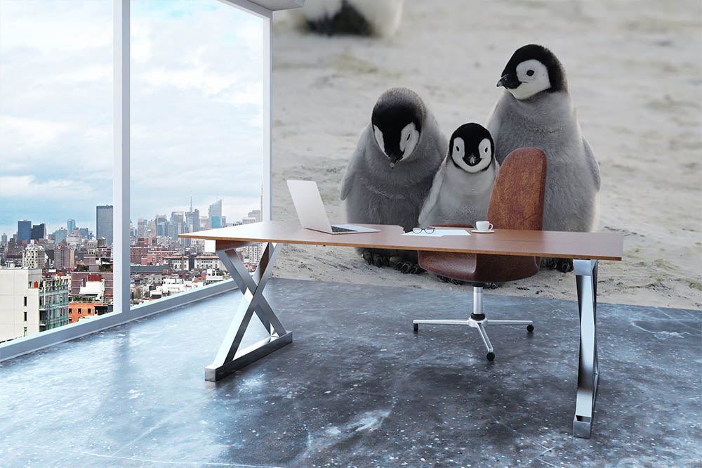 Three Emperor Penguin Chicks Together Wall Mural Wallpaper - Canvas Art Rocks - 3