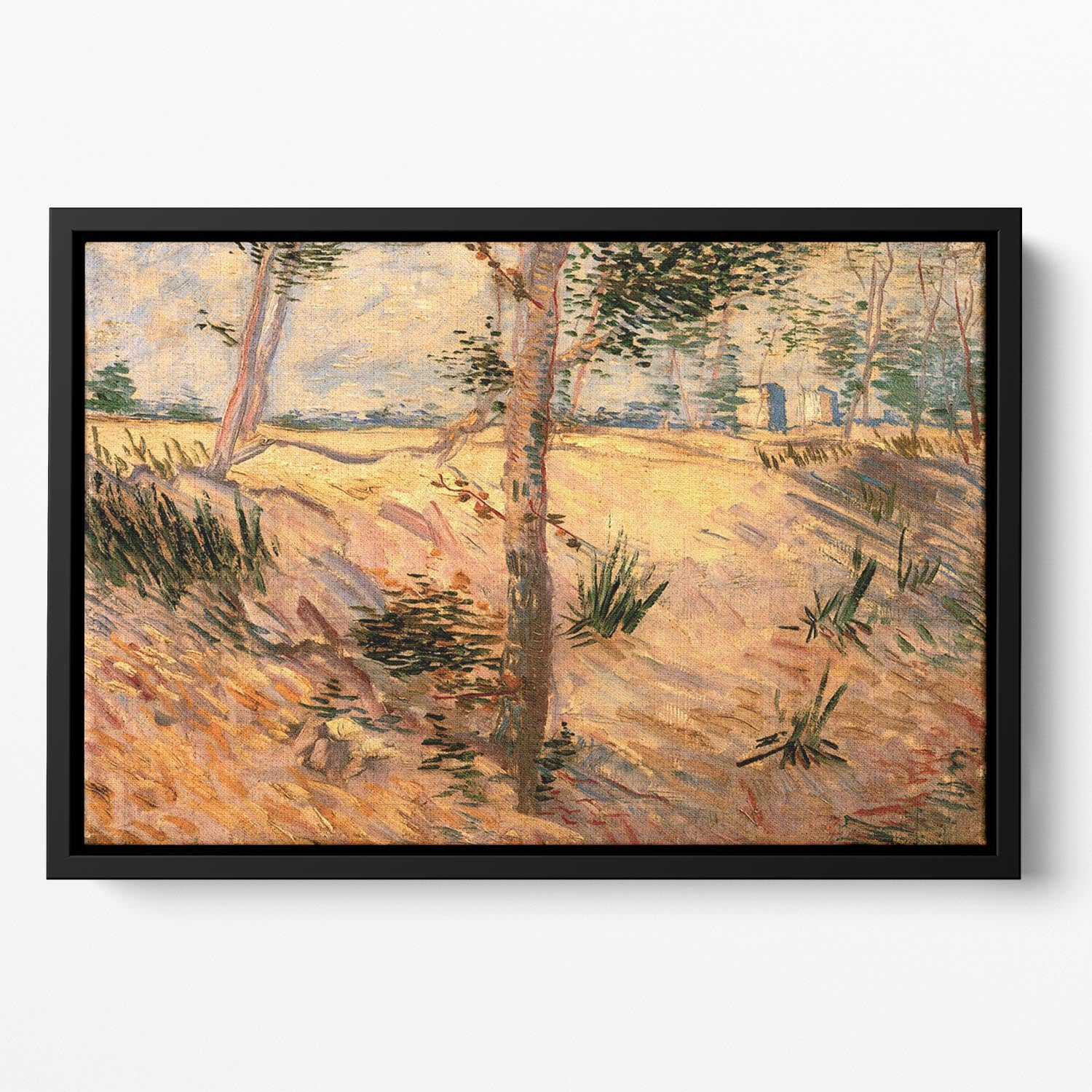 Trees in a Field on a Sunny Day by Van Gogh Floating Framed Canvas