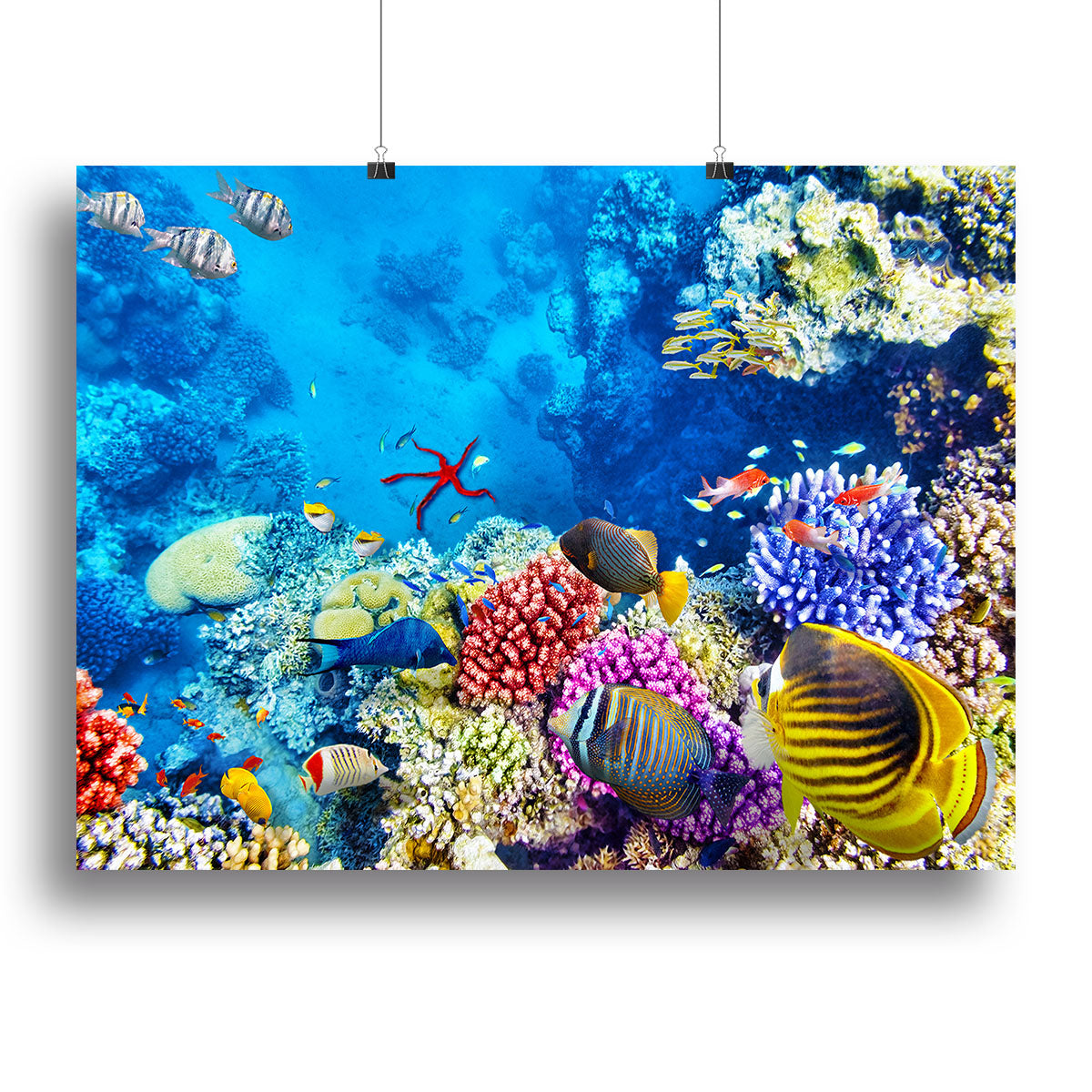 Tropical fish Canvas Print or Poster - Canvas Art Rocks - 2