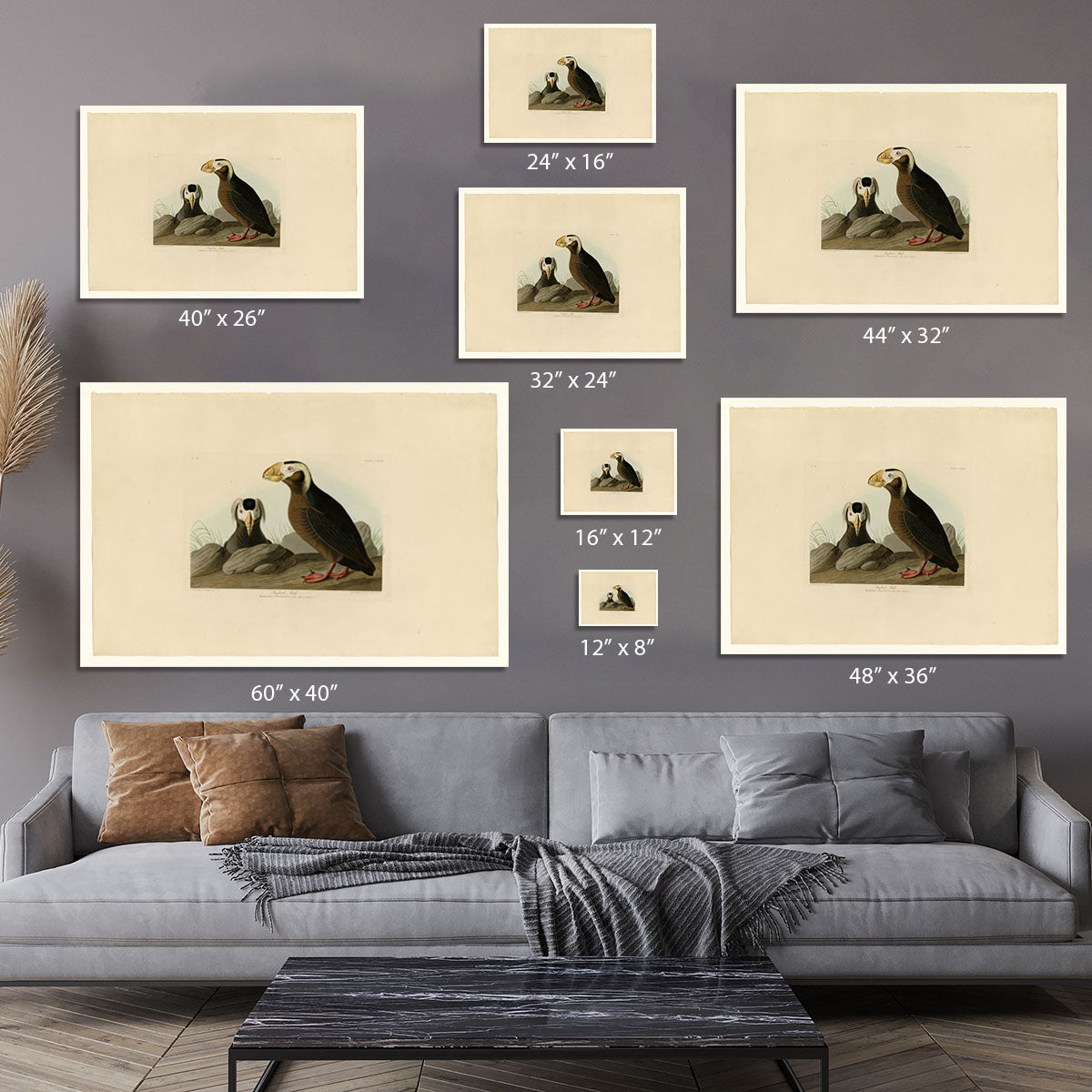 Tufted Auk by Audubon Canvas Print or Poster - Canvas Art Rocks - 7