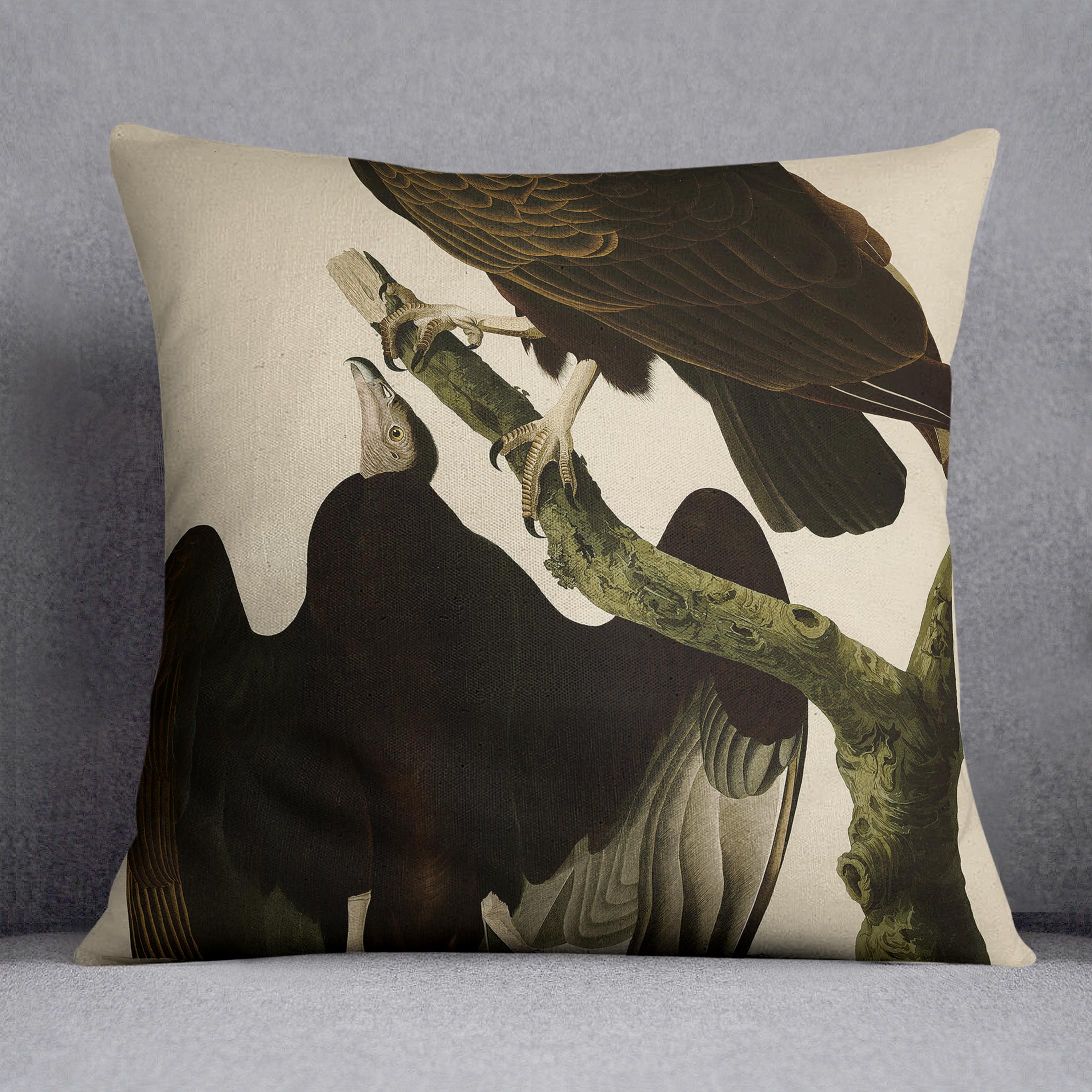 Turkey Buzzard by Audubon Cushion