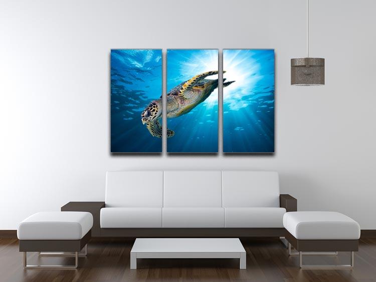 Turtle dive 3 Split Panel Canvas Print - Canvas Art Rocks - 3