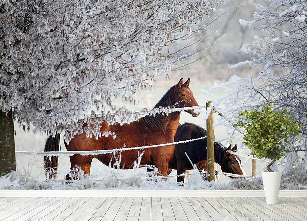 Two horses in a winter landscape Wall Mural Wallpaper - Canvas Art Rocks - 4