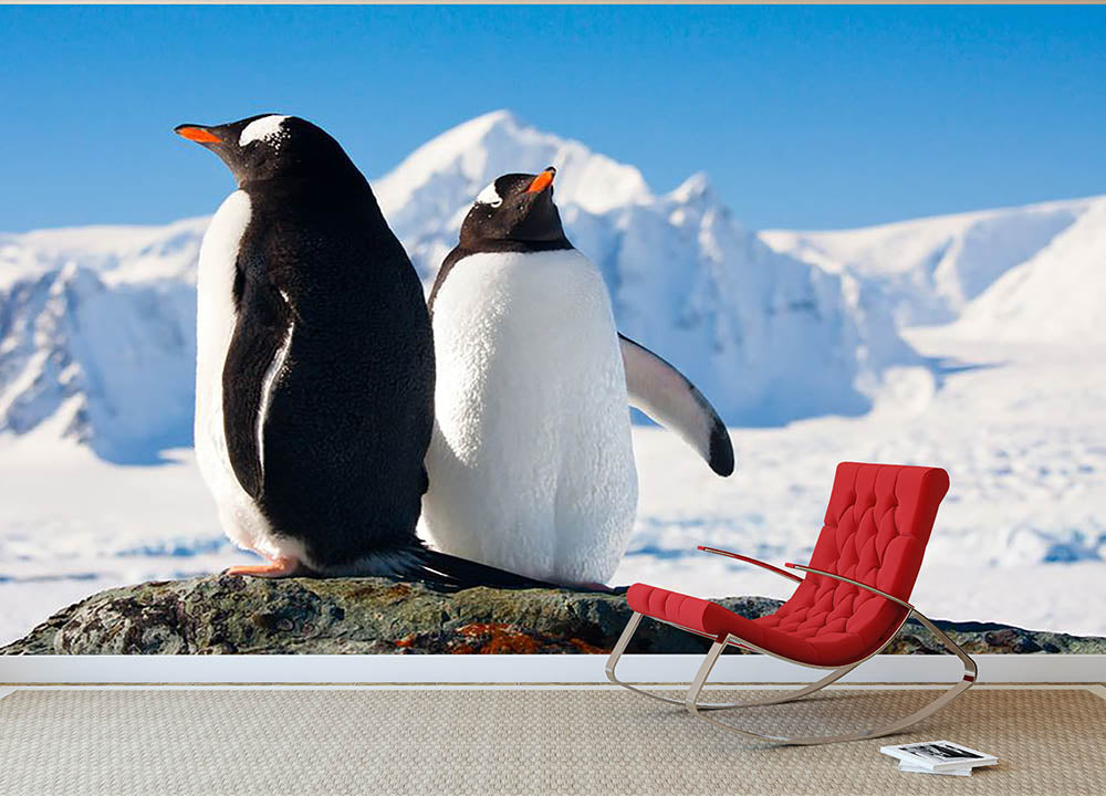 Two penguins dreaming together sitting on a rock Wall Mural Wallpaper - Canvas Art Rocks - 2