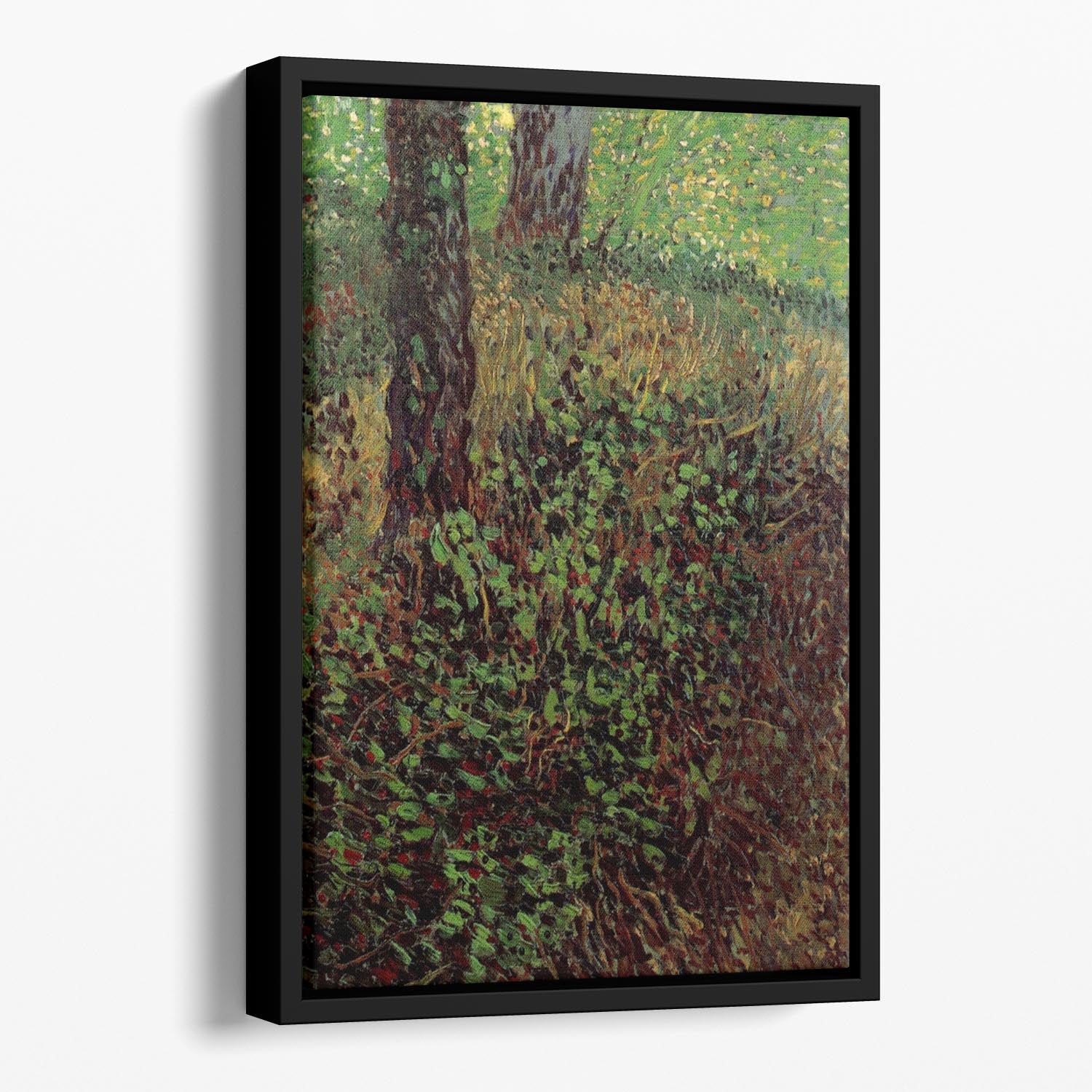 Undergrowth by Van Gogh Floating Framed Canvas