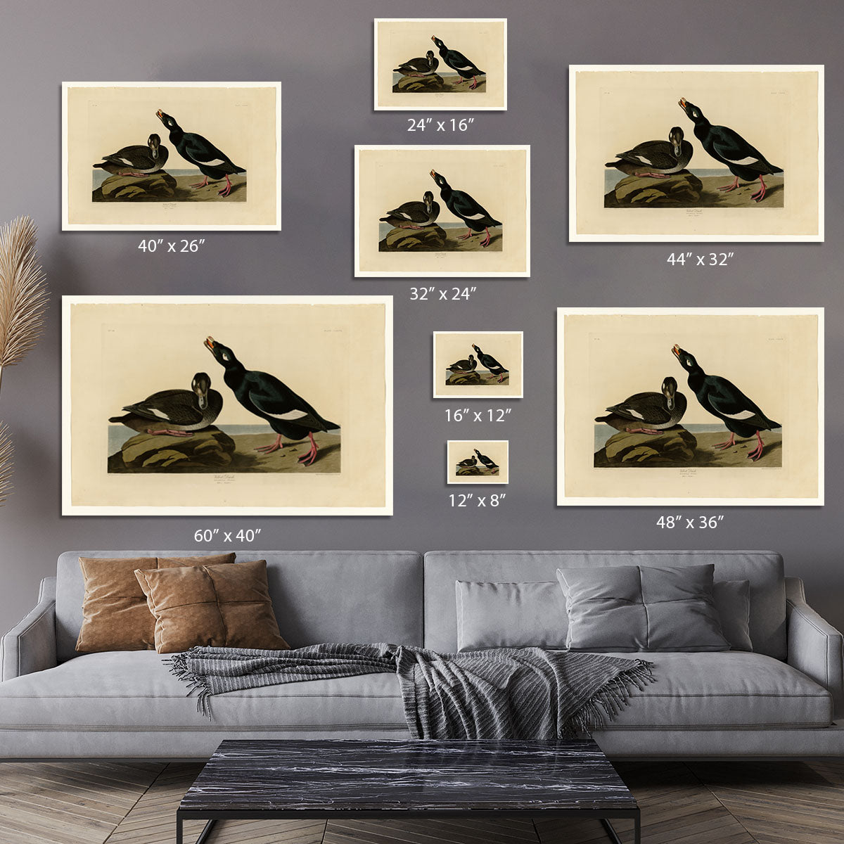 Velvet Duck by Audubon Canvas Print or Poster - Canvas Art Rocks - 7