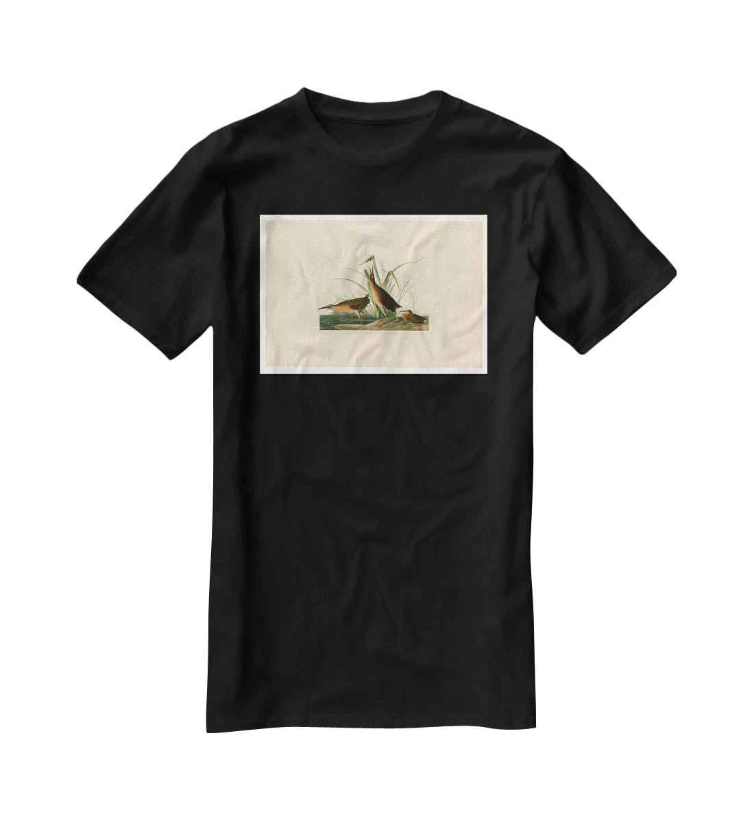 Virginia Rail by Audubon T-Shirt - Canvas Art Rocks - 1