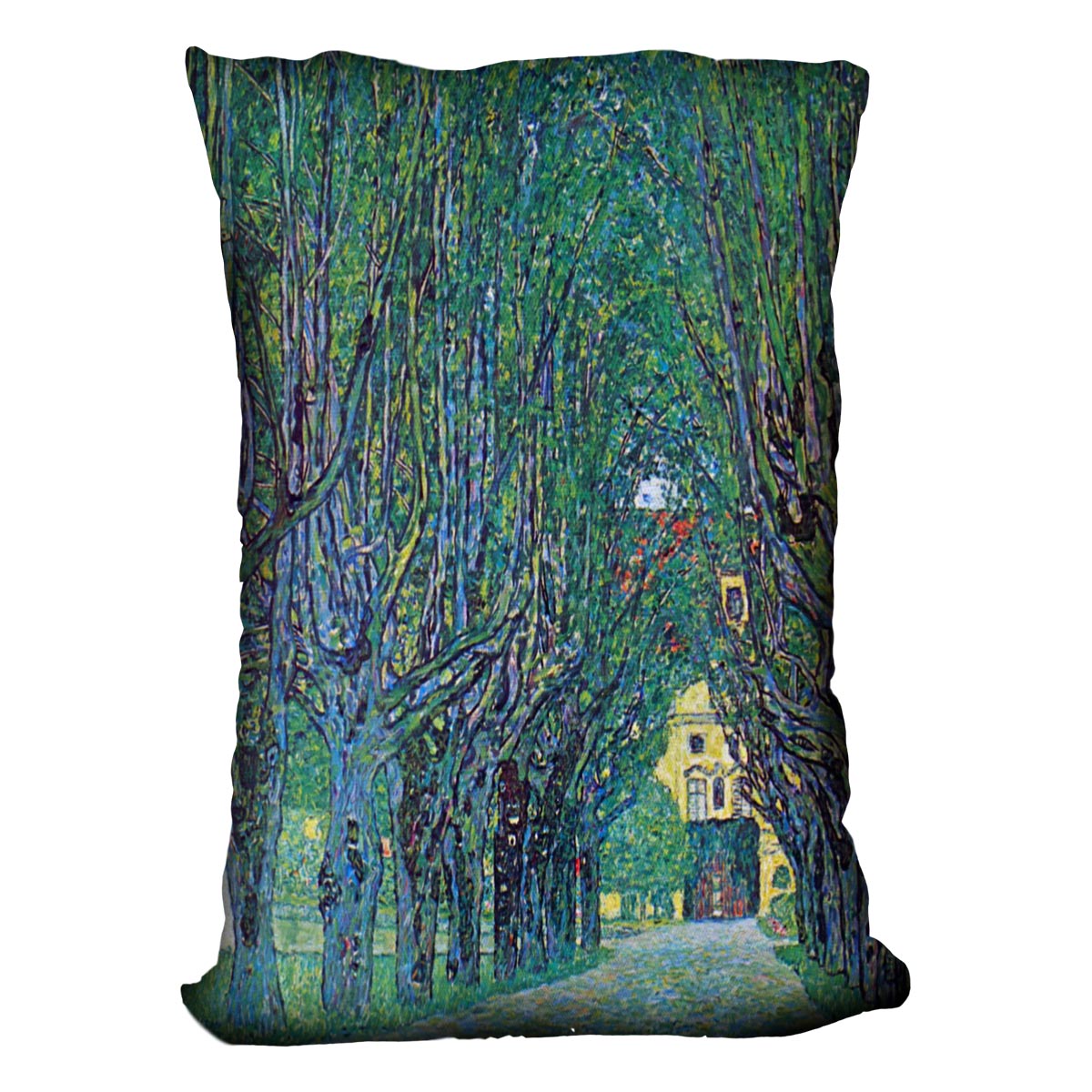 Way to the Park by Klimt Cushion
