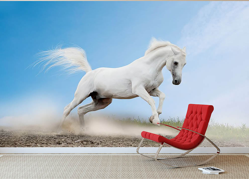 White arabian horse Wall Mural Wallpaper - Canvas Art Rocks - 2