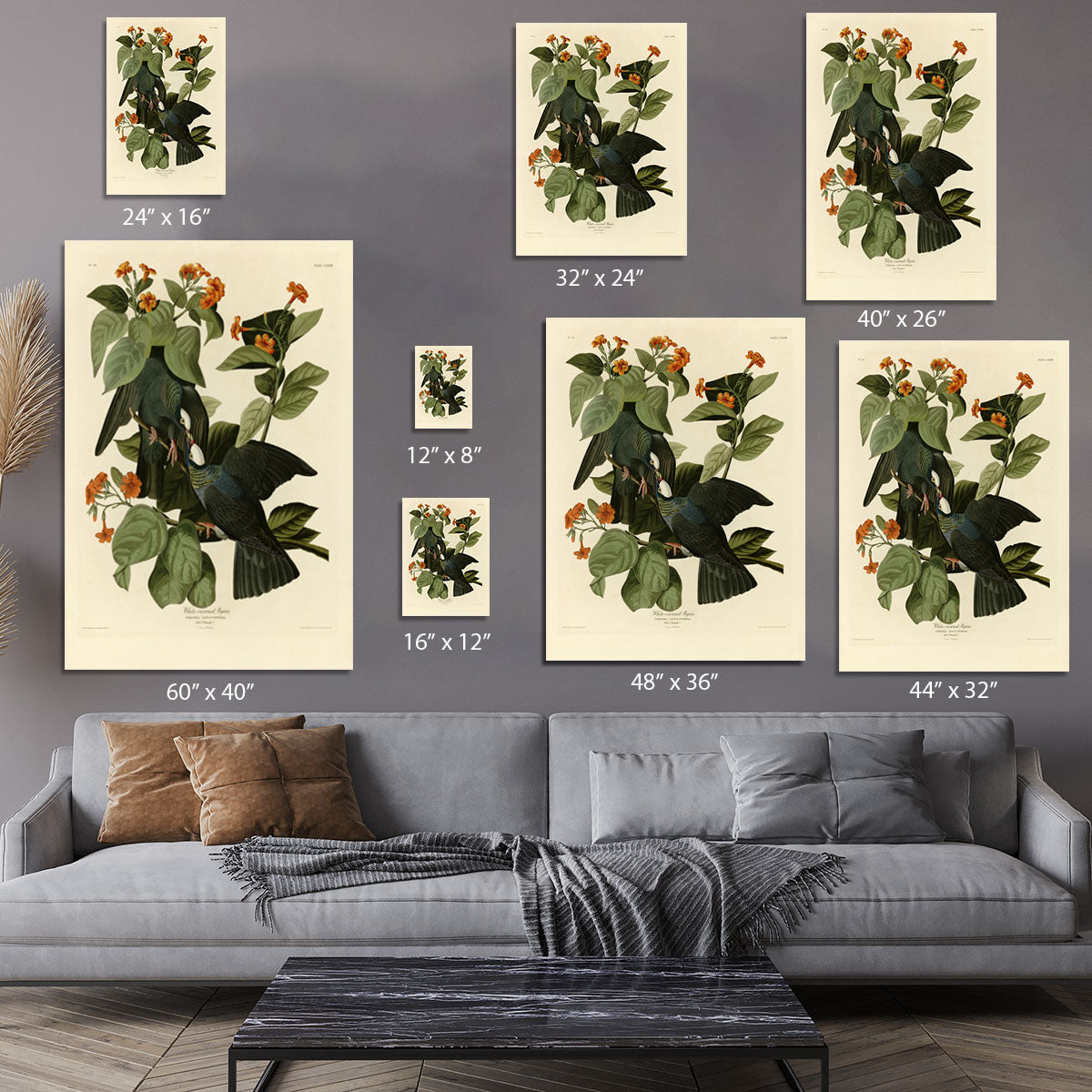 White crowned Pigeon by Audubon Canvas Print or Poster - Canvas Art Rocks - 7