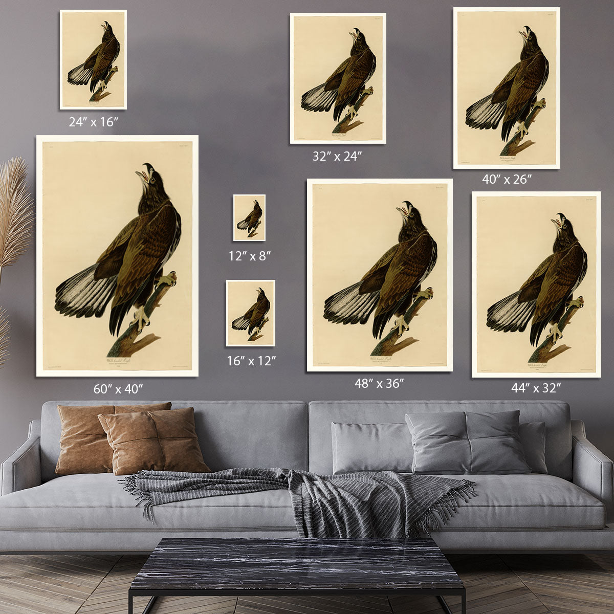 White headed Eagle 2 by Audubon Canvas Print or Poster - Canvas Art Rocks - 7