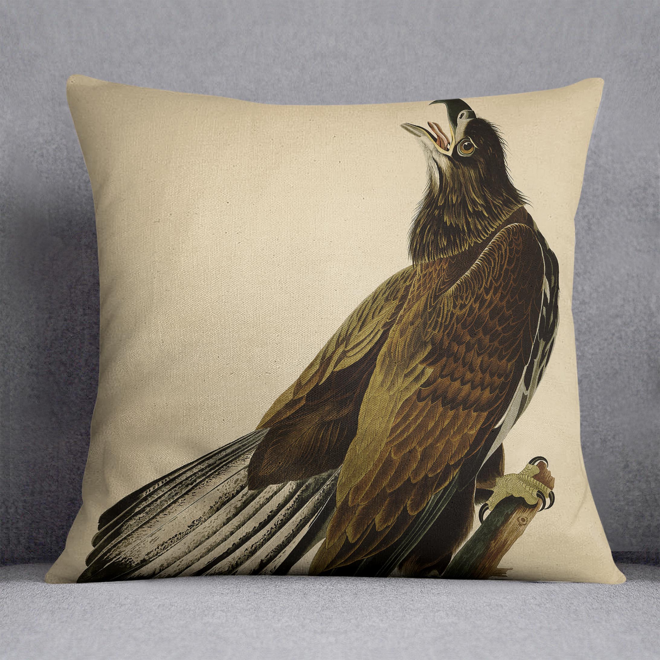 White headed Eagle 2 by Audubon Cushion