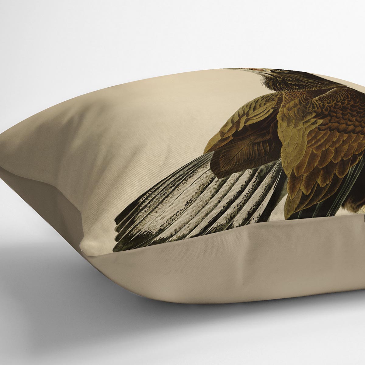 White headed Eagle 2 by Audubon Cushion