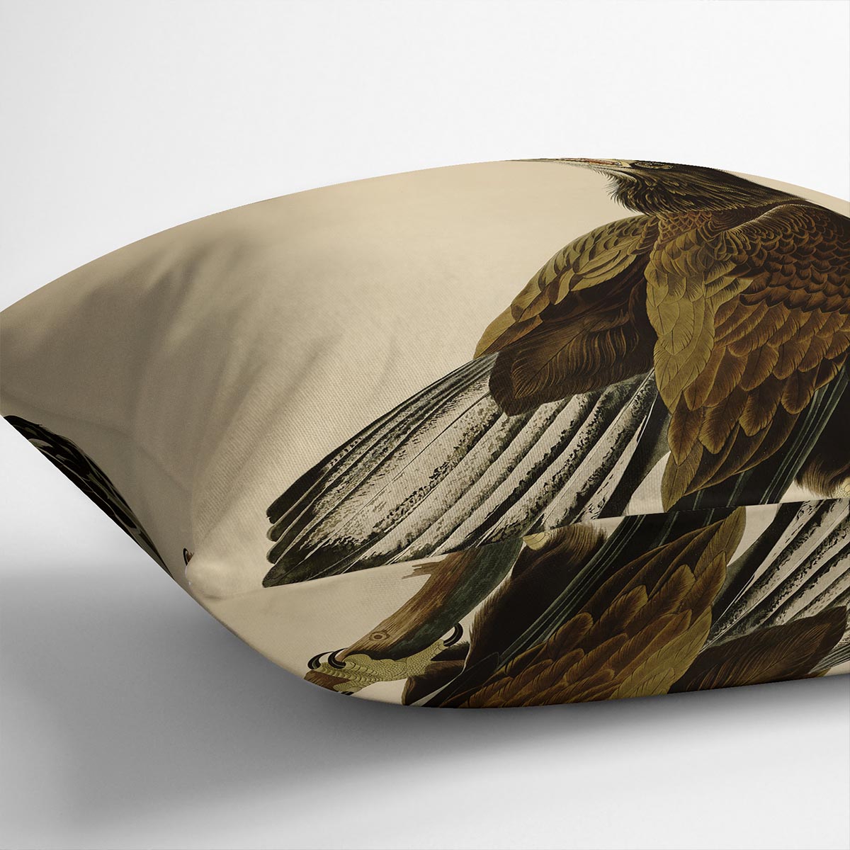 White headed Eagle 2 by Audubon Cushion