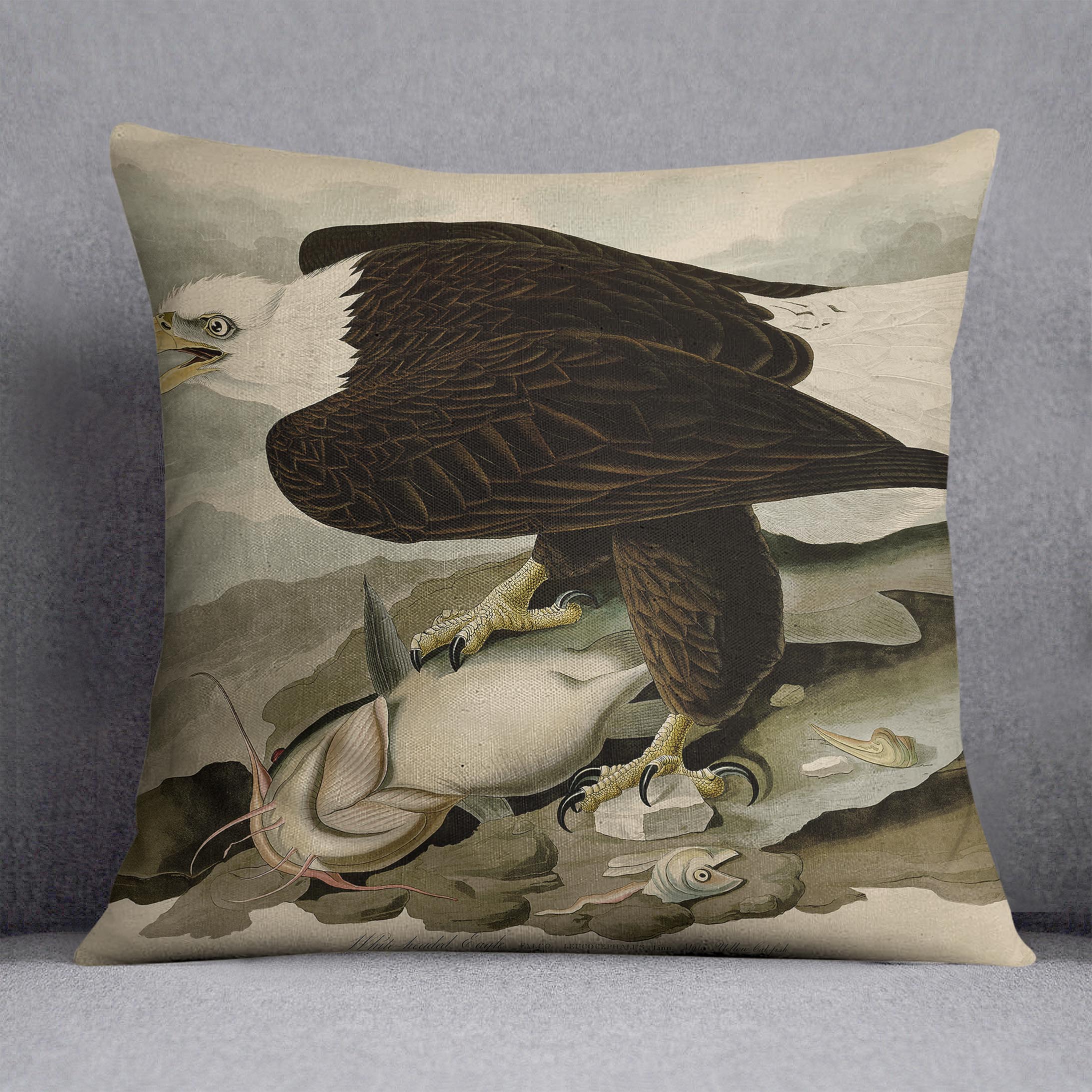 White headed Eagle by Audubon Cushion