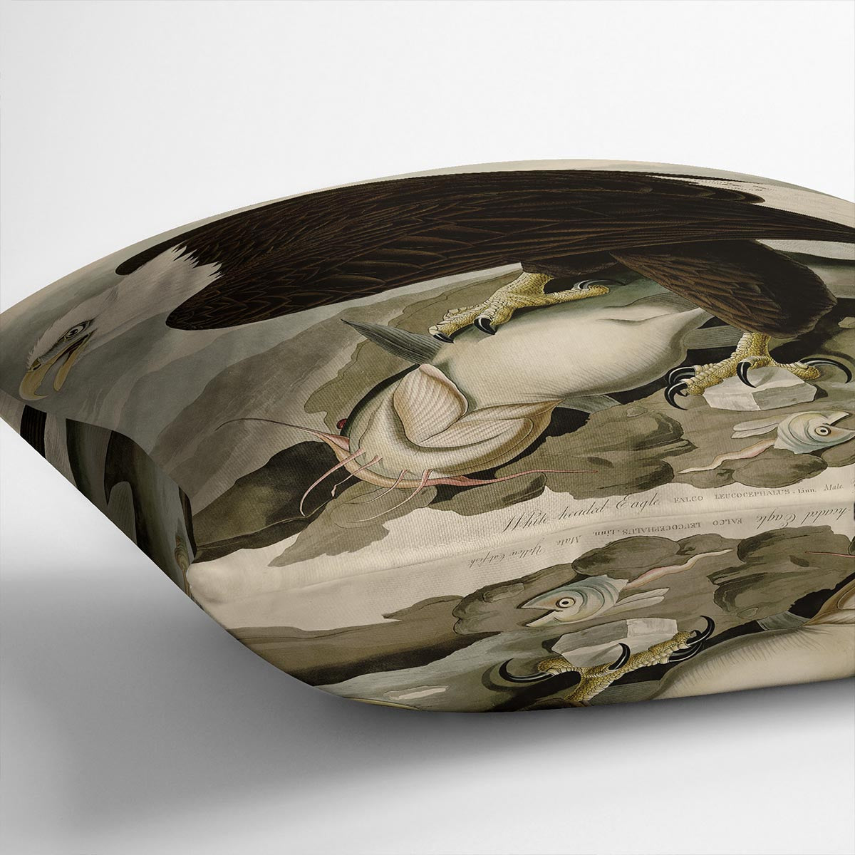 White headed Eagle by Audubon Cushion