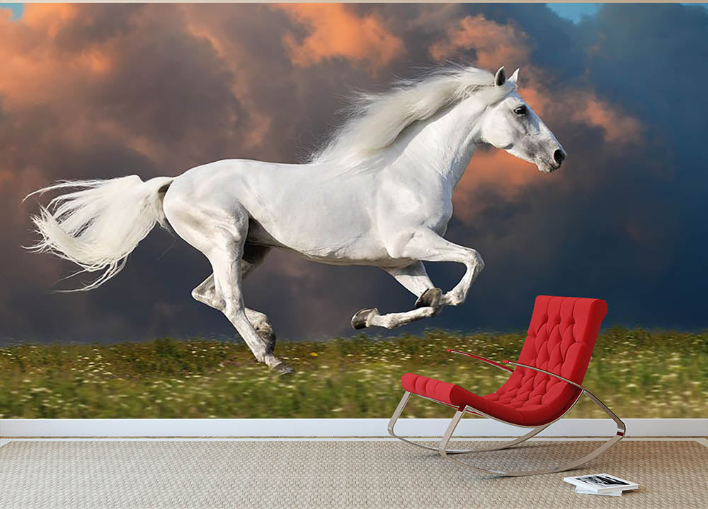 White horse runs gallop on the dark sky Wall Mural Wallpaper - Canvas Art Rocks - 2