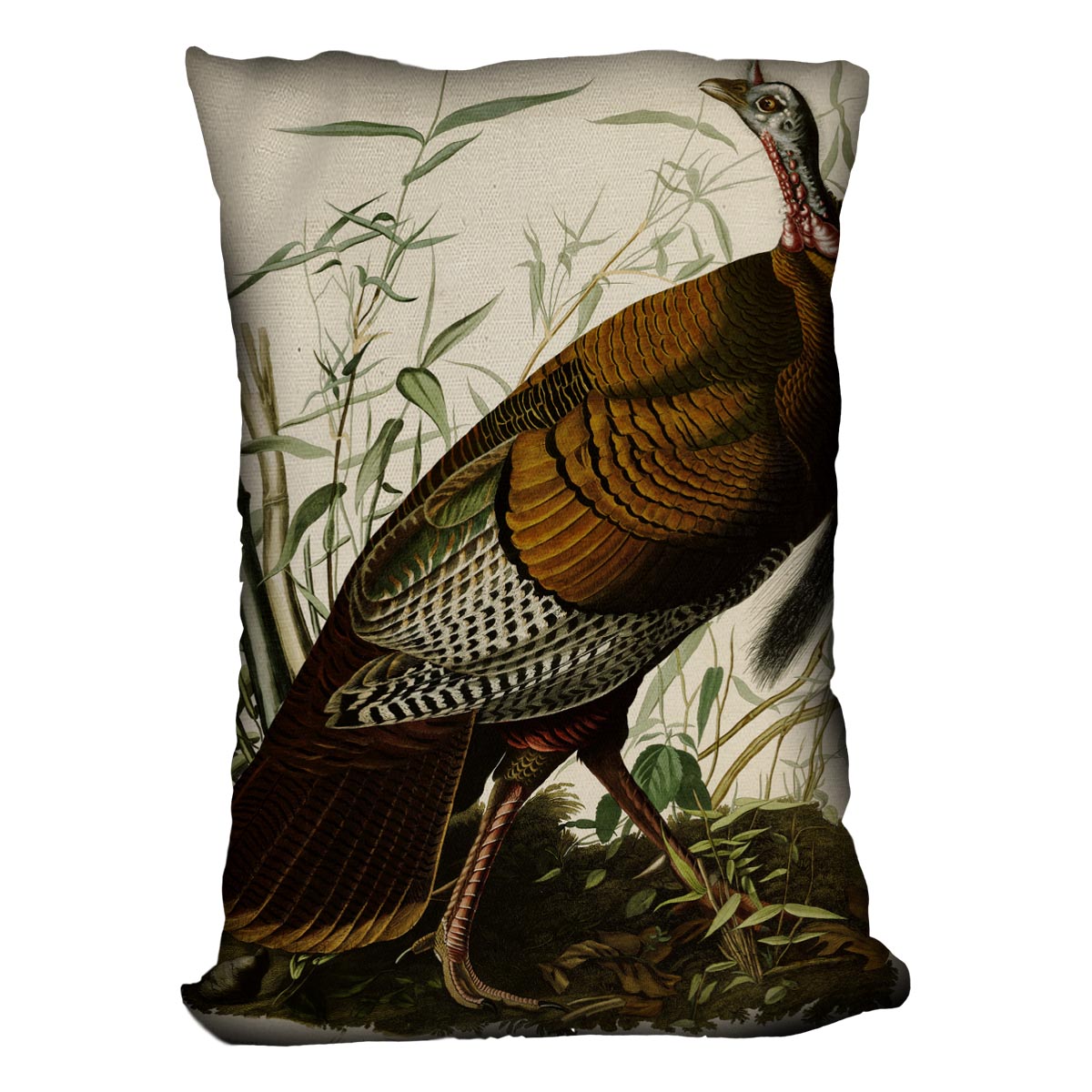 Wild Turkey by Audubon Cushion