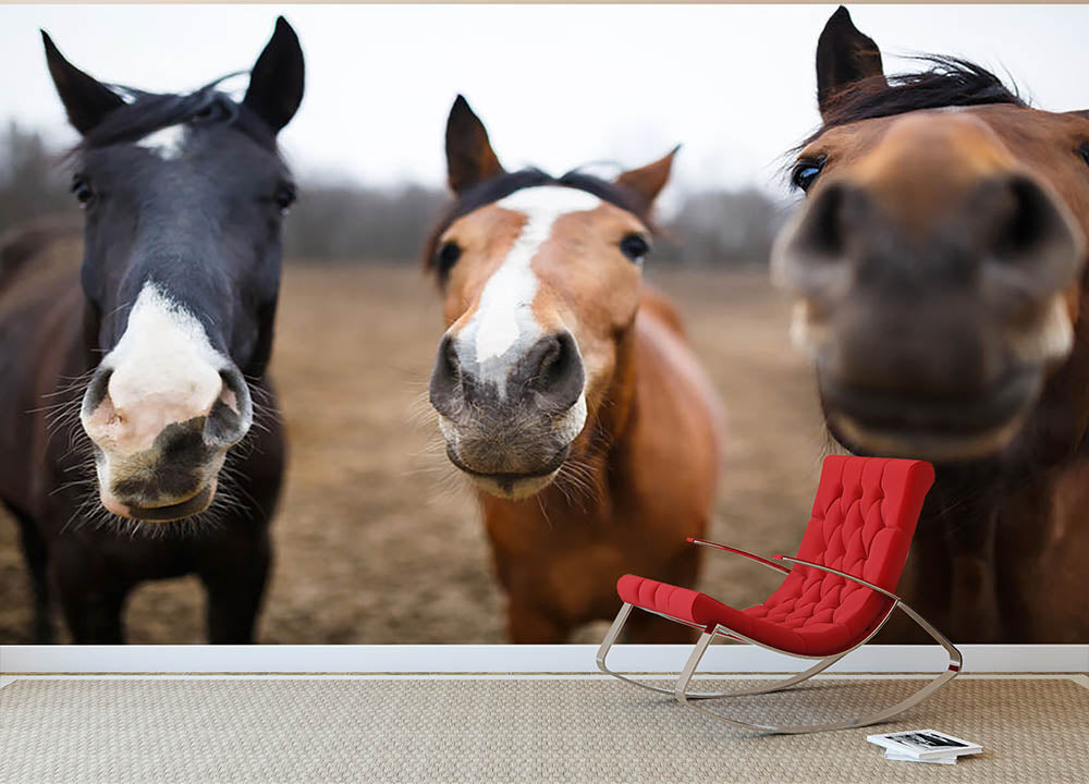 Wild horses on the meadow at spring time Wall Mural Wallpaper - Canvas Art Rocks - 2