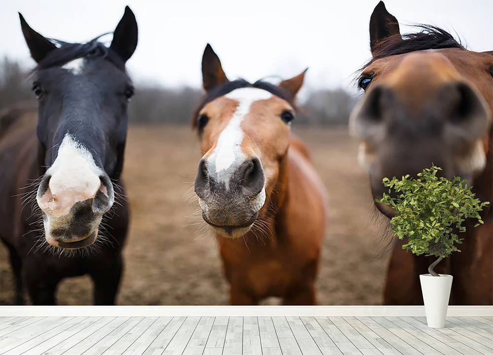 Wild horses on the meadow at spring time Wall Mural Wallpaper - Canvas Art Rocks - 4