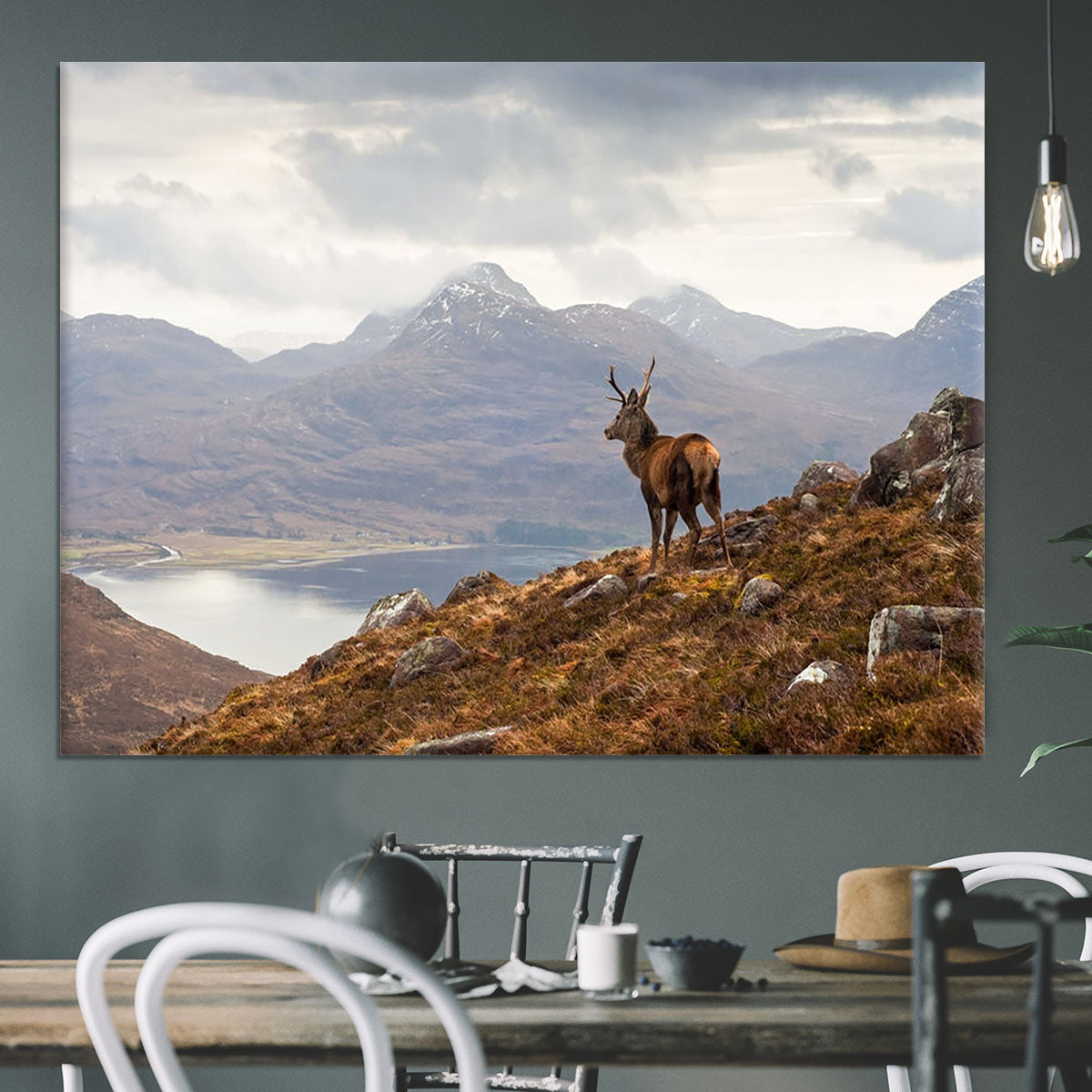 Wild stag overlooking Loch Torridon Canvas Print or Poster - Canvas Art Rocks - 3