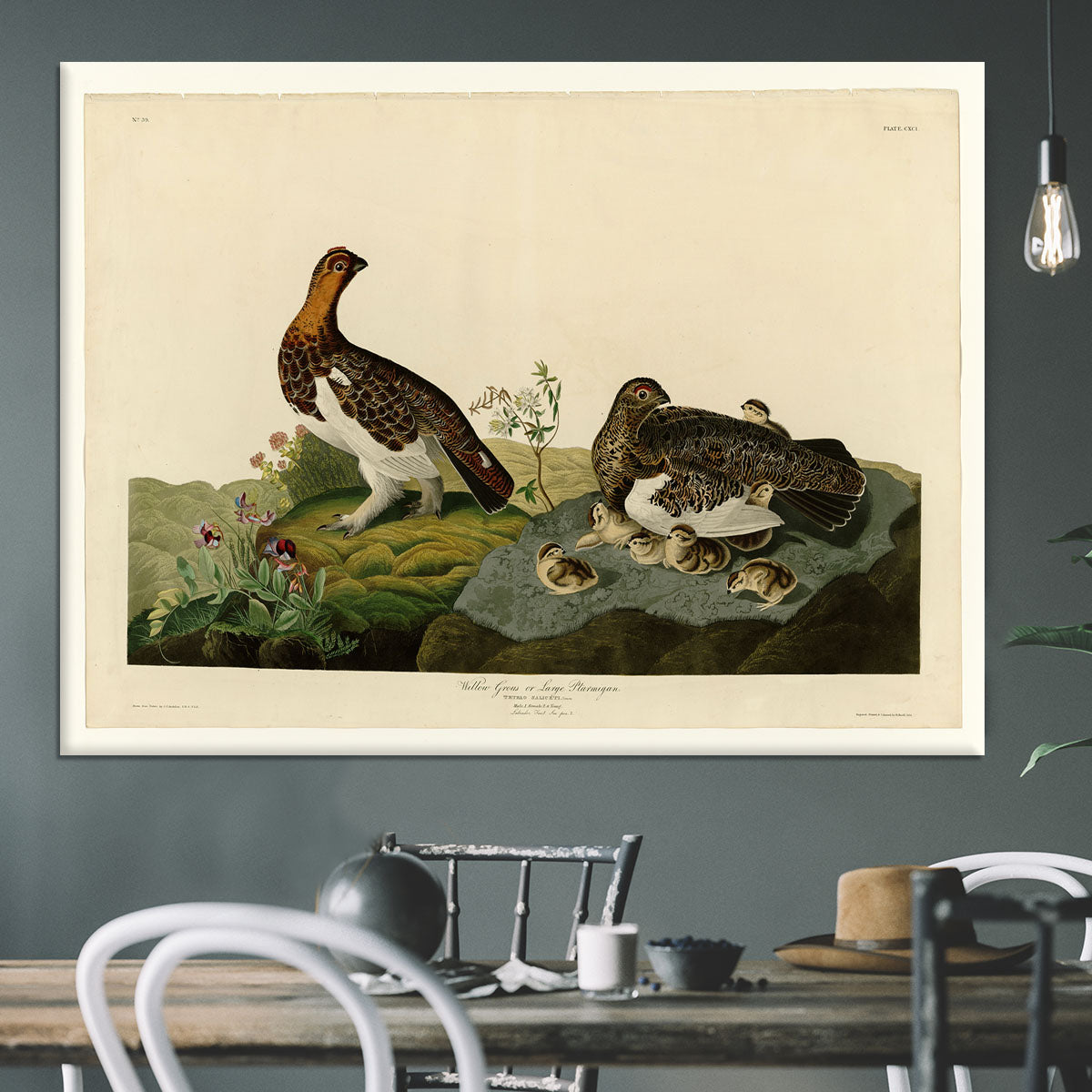 Willow Grouse by Audubon Canvas Print or Poster - Canvas Art Rocks - 3