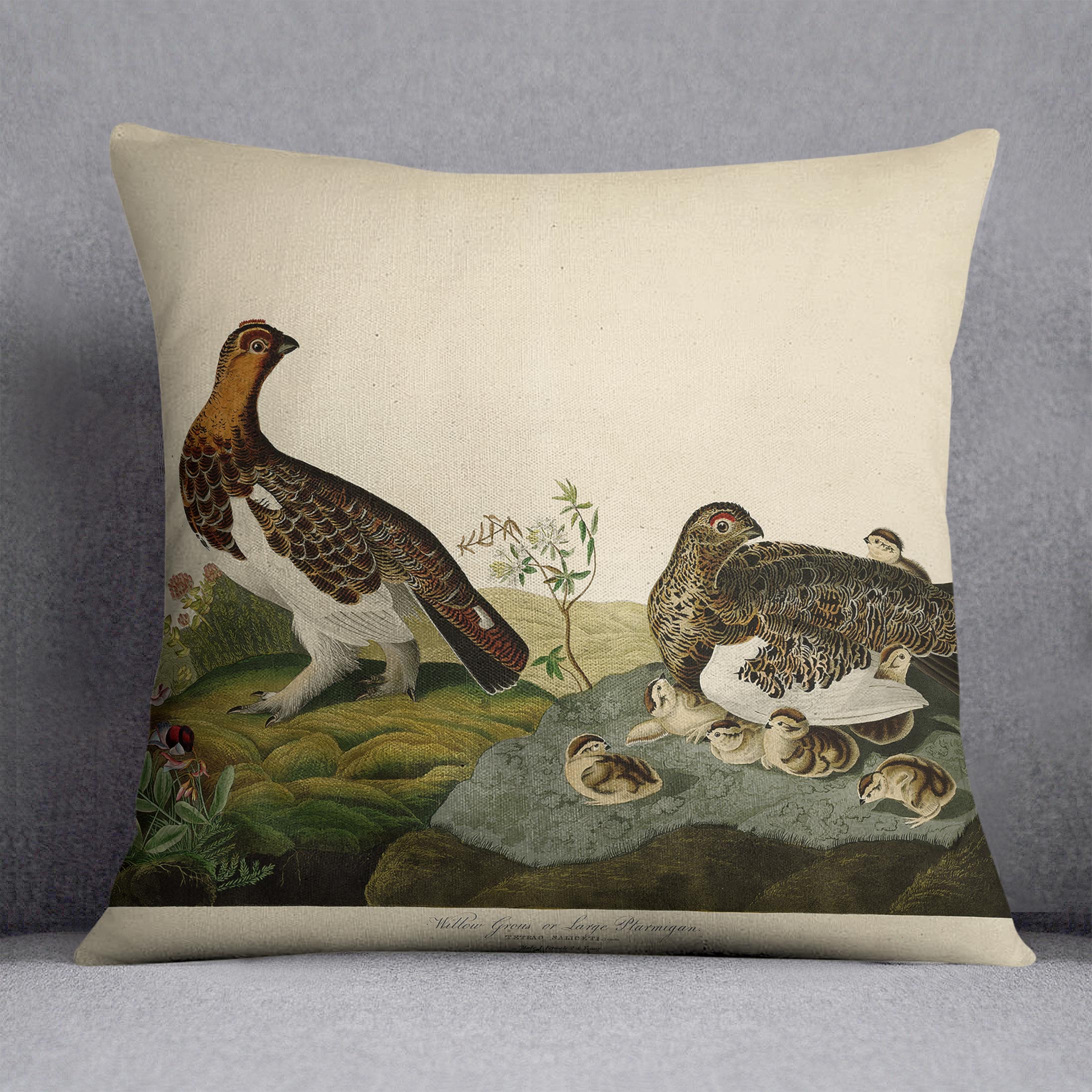 Willow Grouse by Audubon Cushion