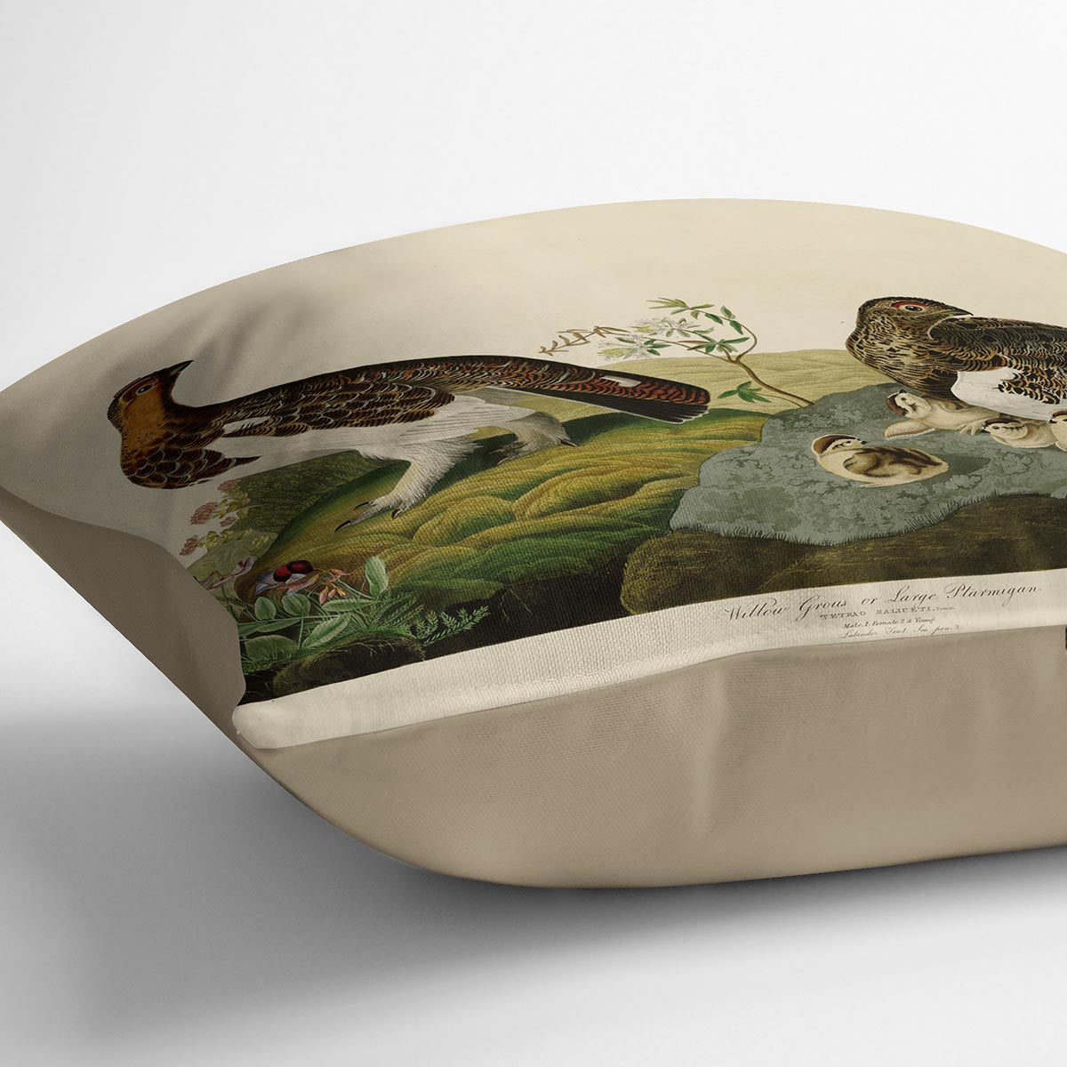 Willow Grouse by Audubon Cushion