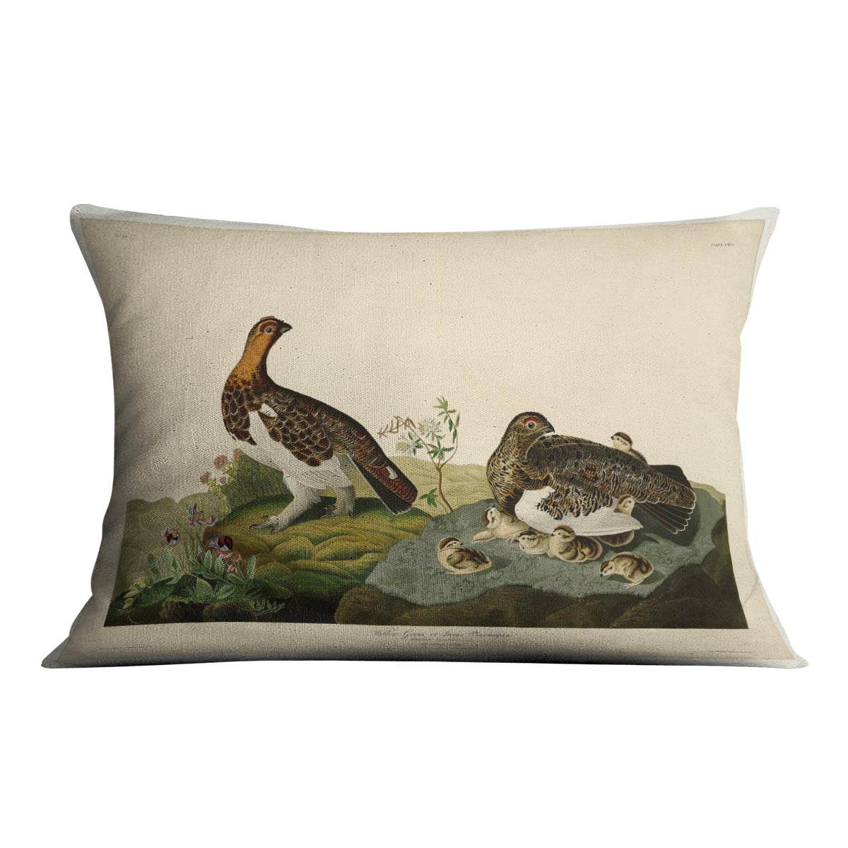 Willow Grouse by Audubon Cushion