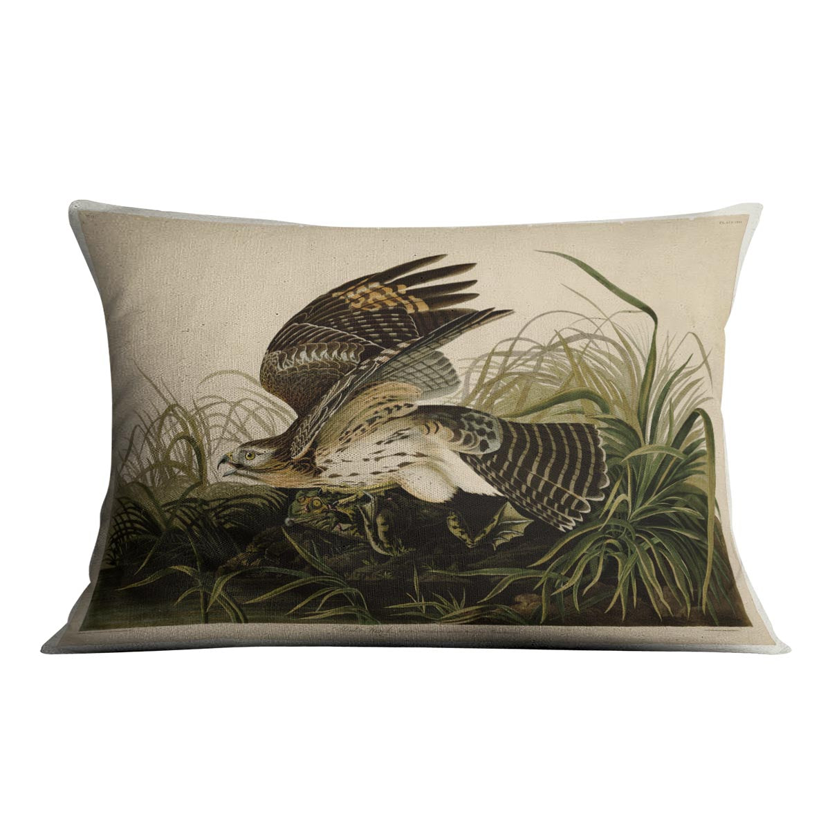 Winter Hawk by Audubon Cushion