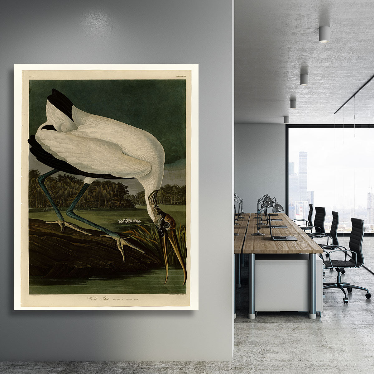 Wood Ibiss by Audubon Canvas Print or Poster - Canvas Art Rocks - 3