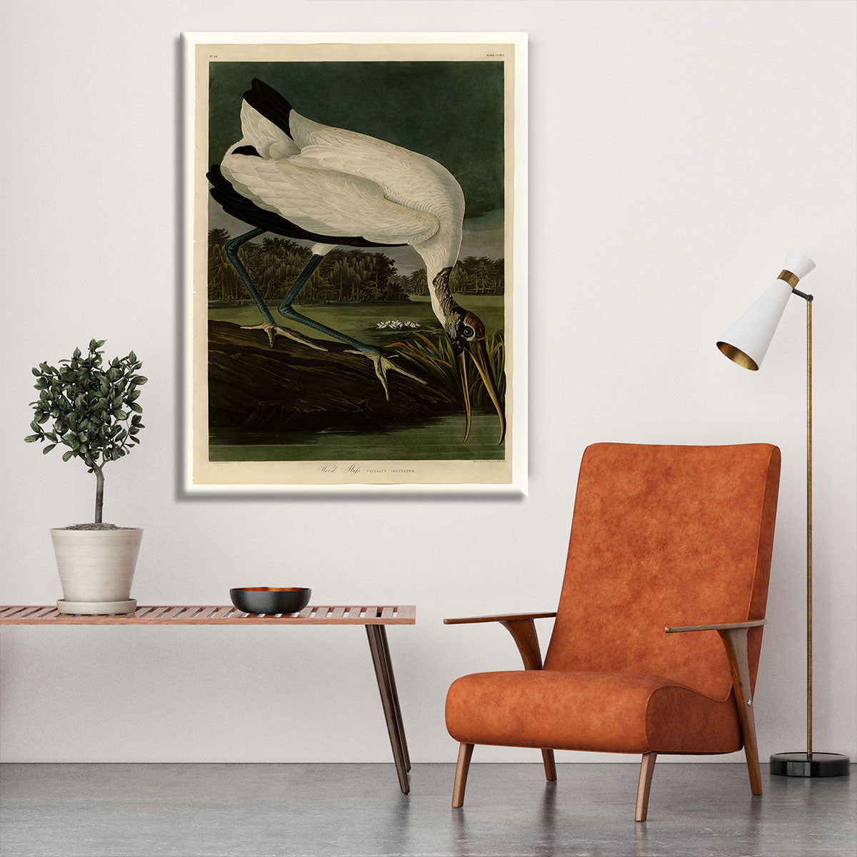 Wood Ibiss by Audubon Canvas Print or Poster - Canvas Art Rocks - 6