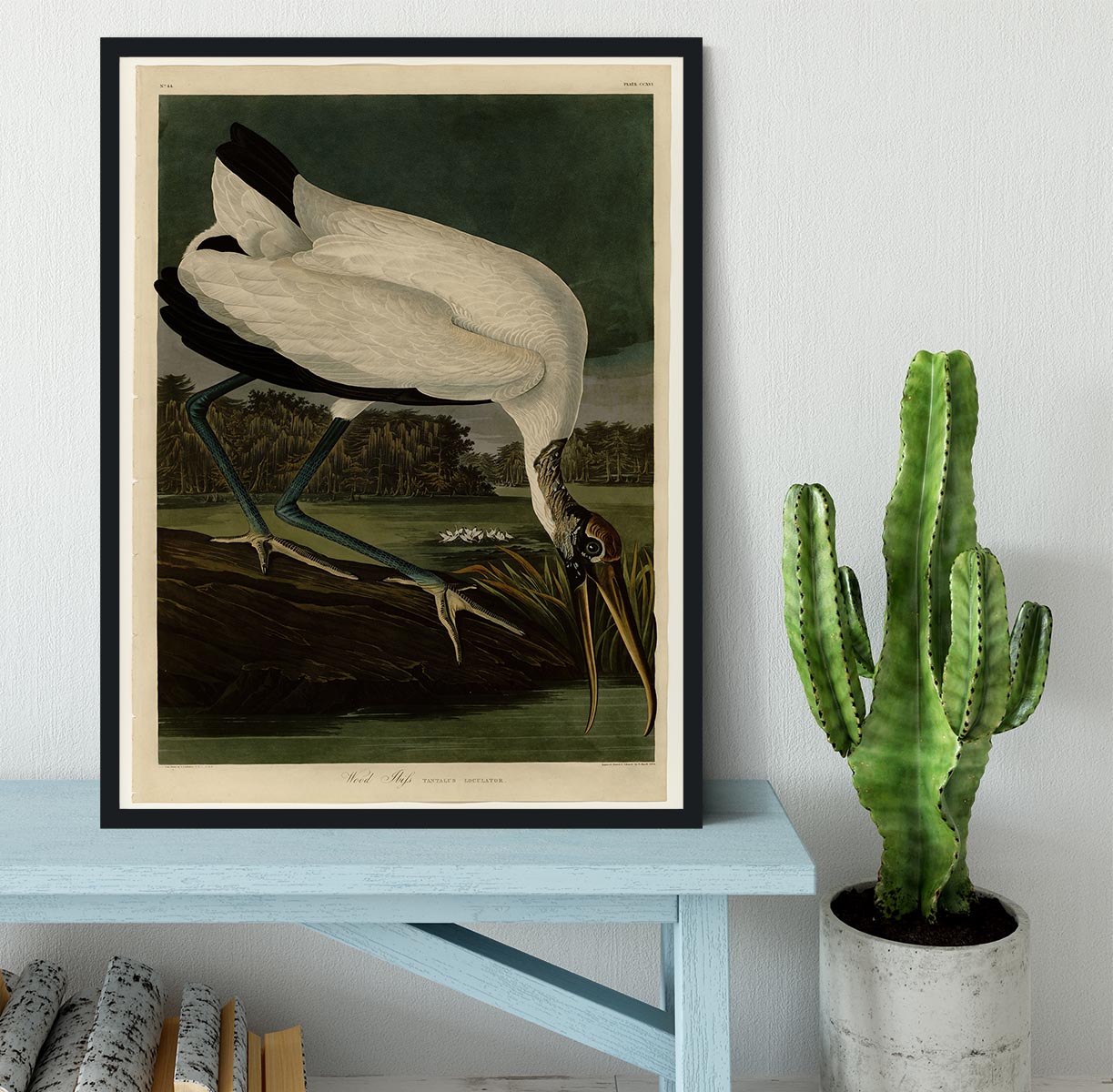 Wood Ibiss by Audubon Framed Print - Canvas Art Rocks - 2