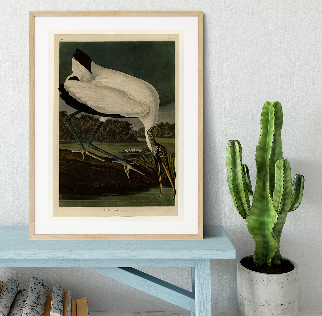 Wood Ibiss by Audubon Framed Print - Canvas Art Rocks - 3