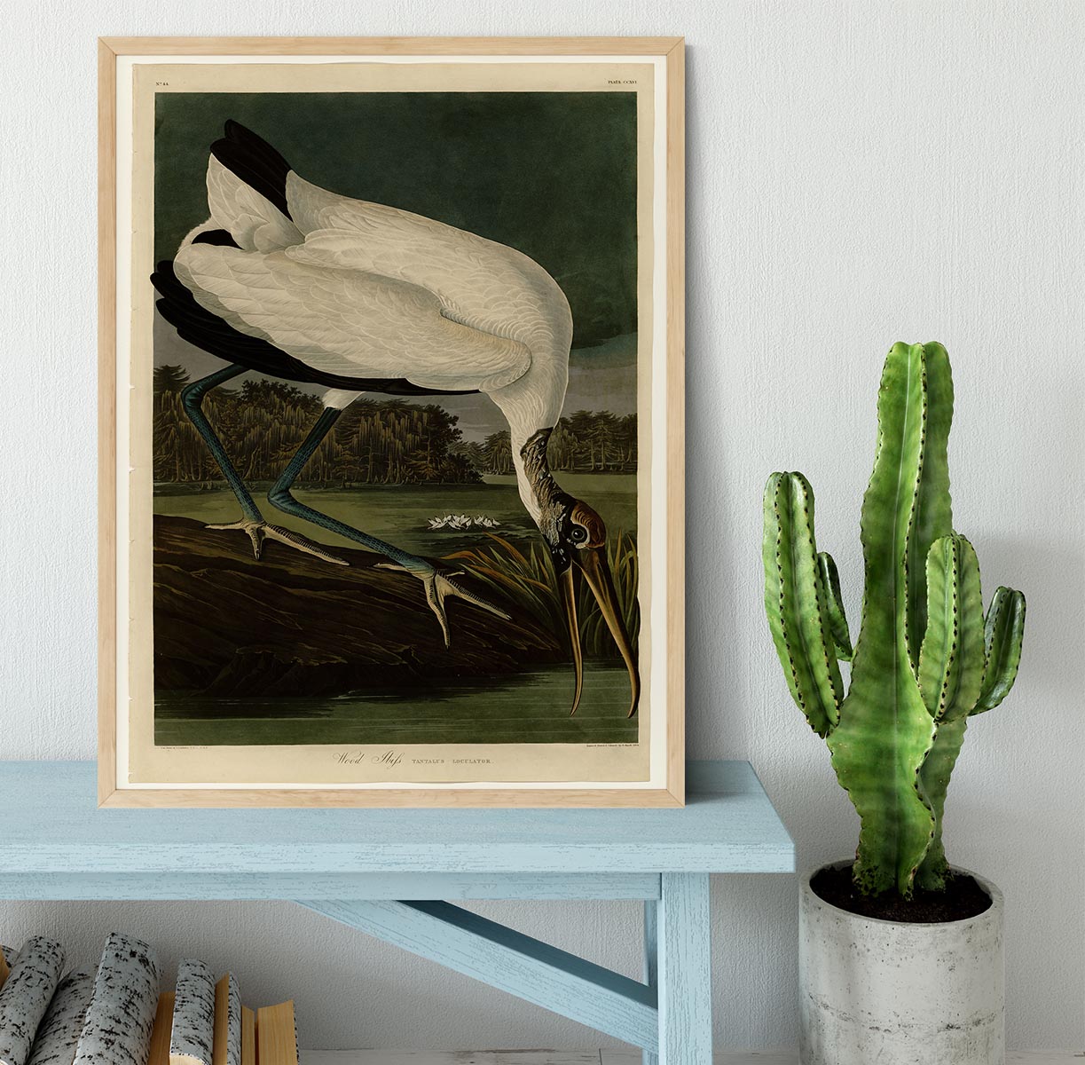 Wood Ibiss by Audubon Framed Print - Canvas Art Rocks - 4