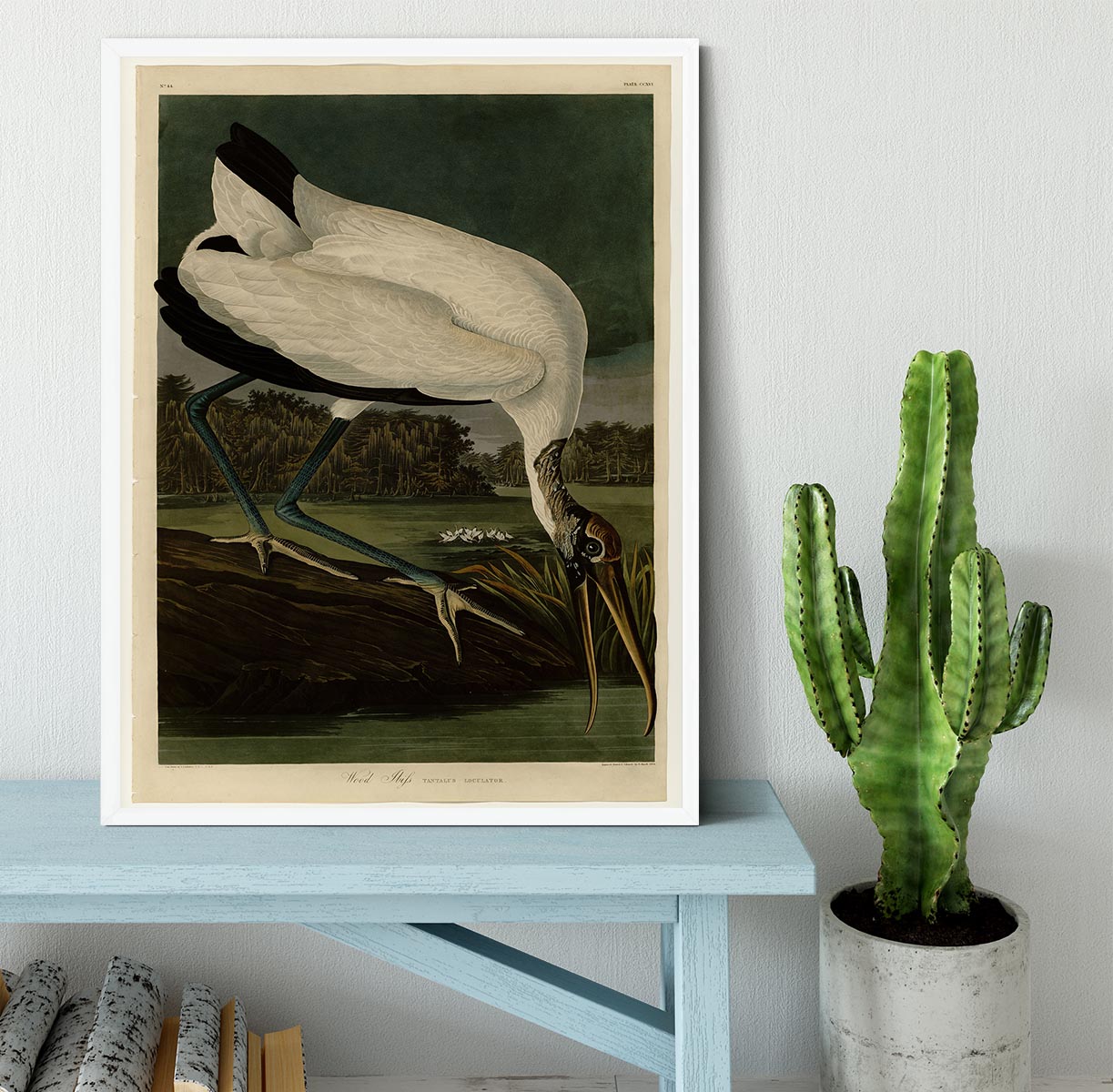 Wood Ibiss by Audubon Framed Print - Canvas Art Rocks -6