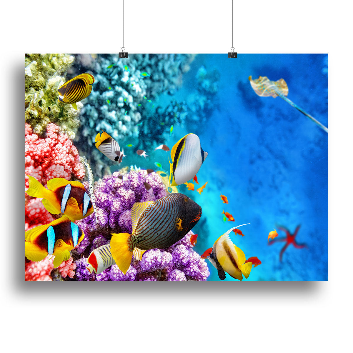 World with corals and tropical fish Canvas Print or Poster - Canvas Art Rocks - 2