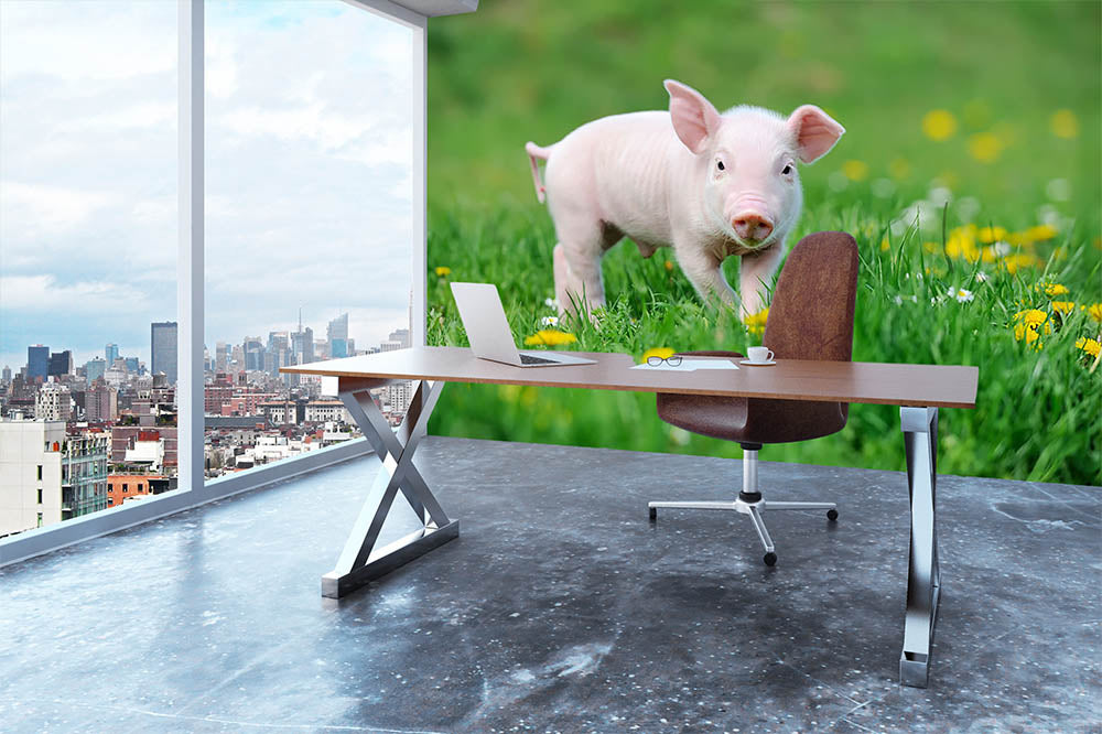 Young funny pig Wall Mural Wallpaper - Canvas Art Rocks - 3